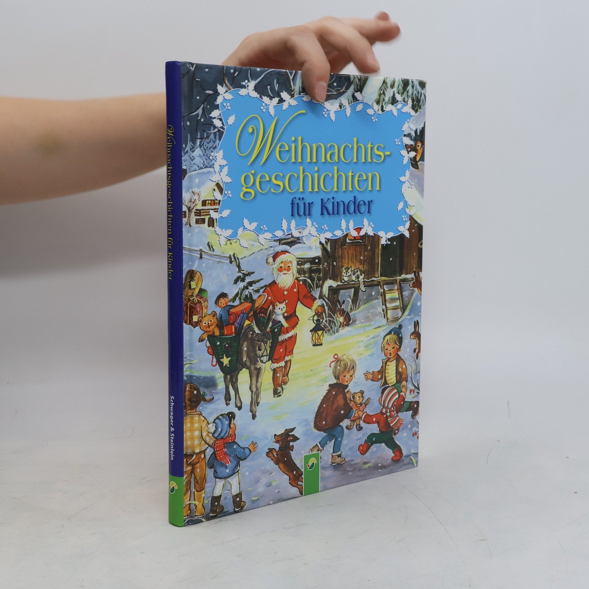 Autorenkollektiv Weihnachtsgeschichten für Kinder
