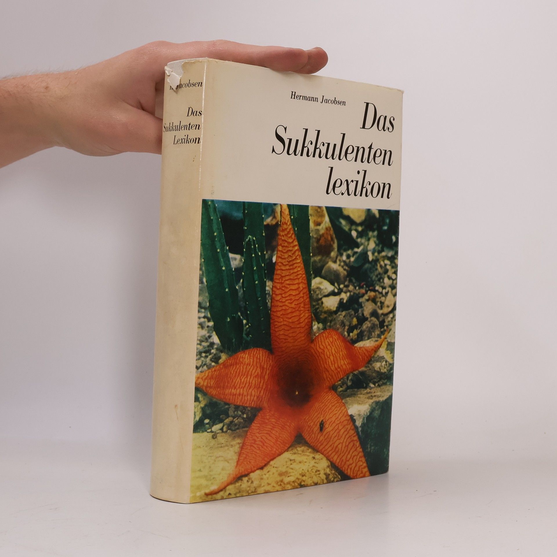 Hermann Jacobsen Das Sukkulenten Lexikon