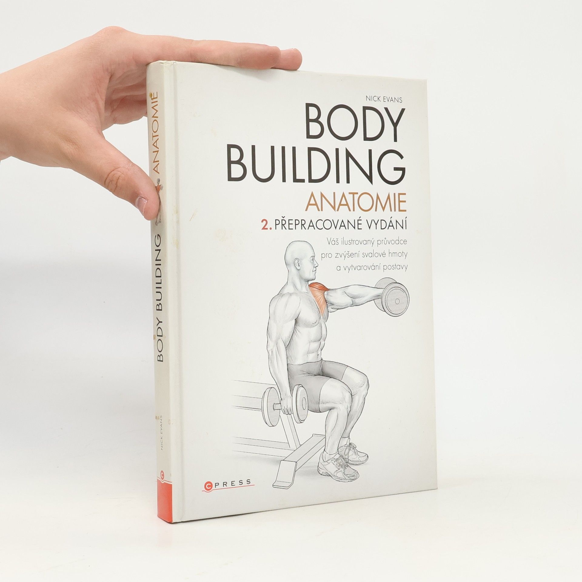 Nick Evans Bodybuilding - anatomie