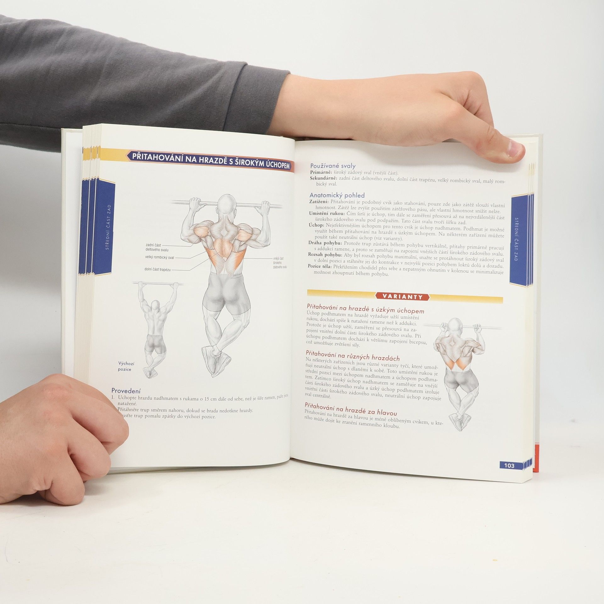 Nick Evans Bodybuilding - anatomie