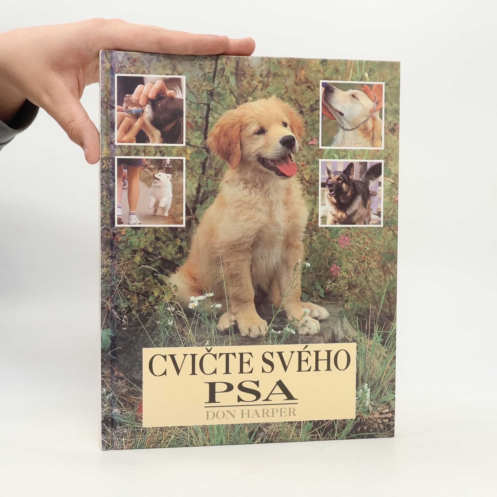 David Alderton Cvičte svojho psa