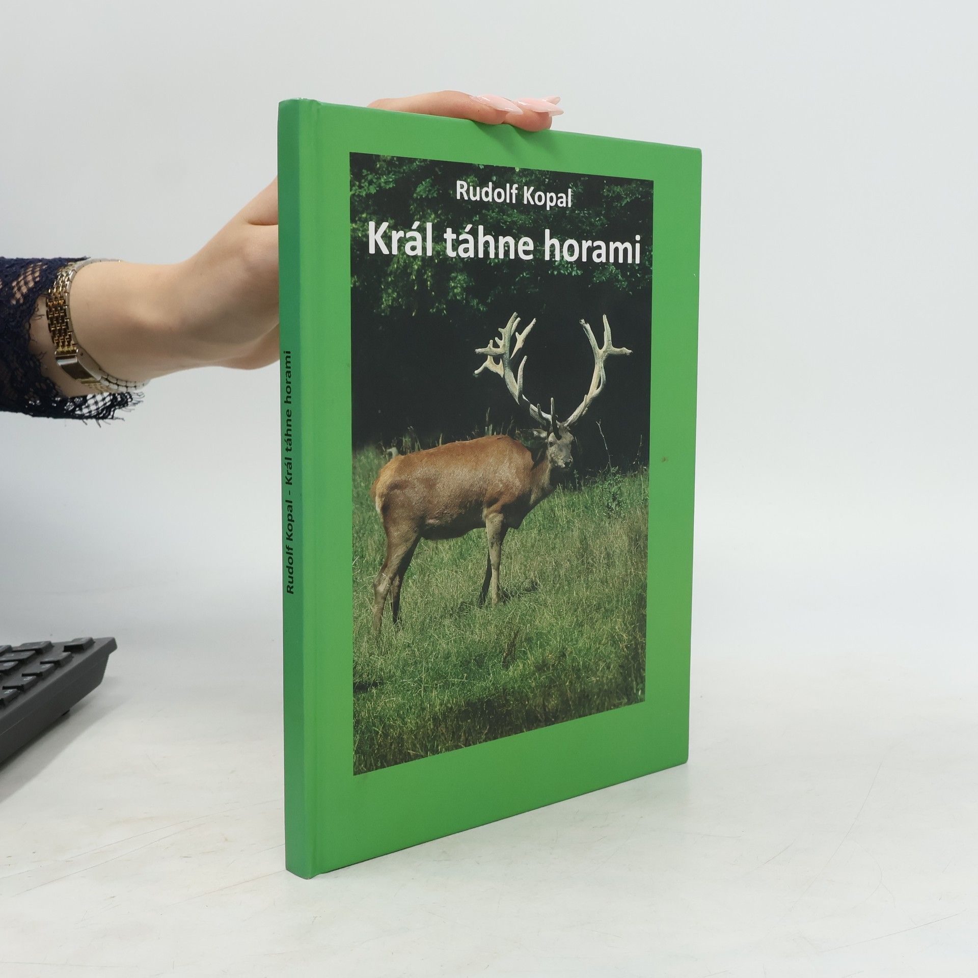 Rudolf Kopal Král táhne horami