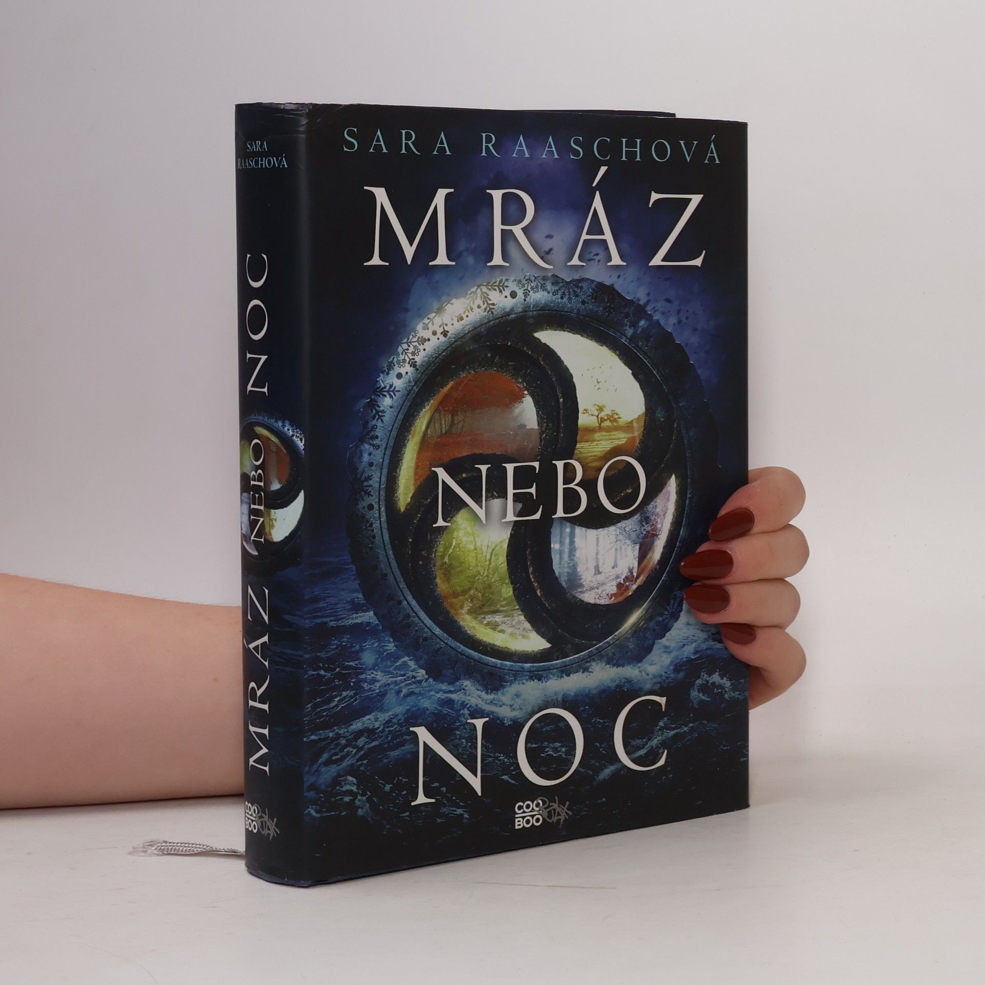 Sara Raasch Mráz nebo noc