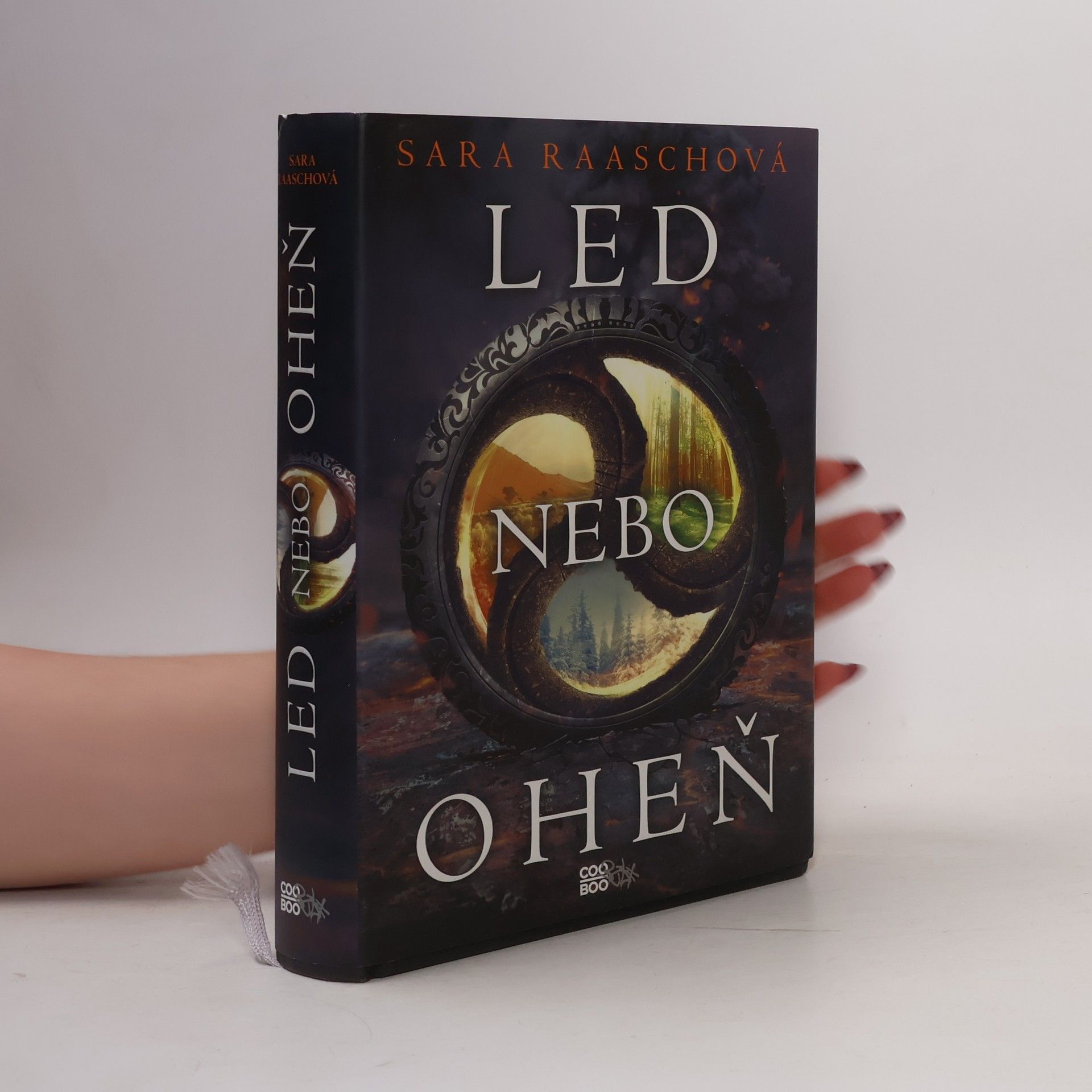 Sara Raasch Led nebo oheň