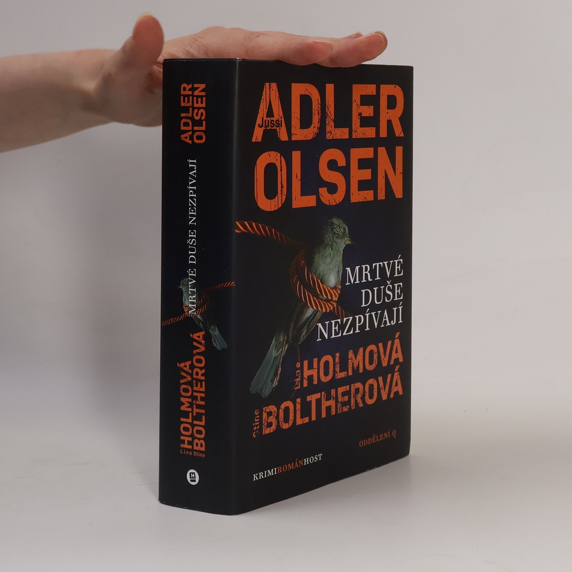 Stine Bolther Mrtvé duše nezpívají