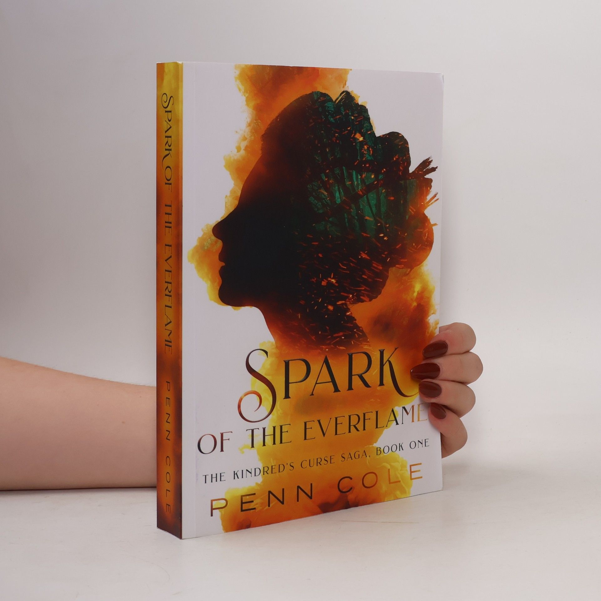 The Kindred's Curse Saga - 1: Spark of the Everflame
