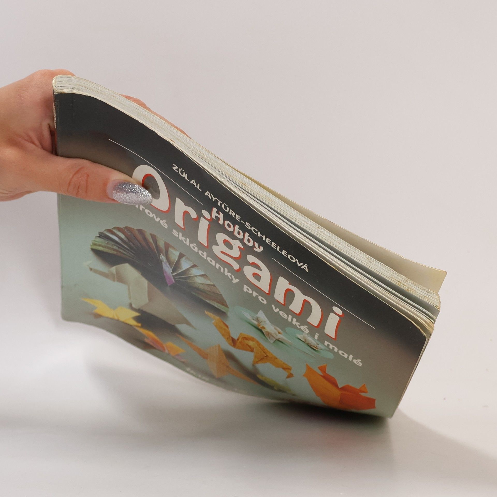 Zülal AytüreScheele Hobby origami