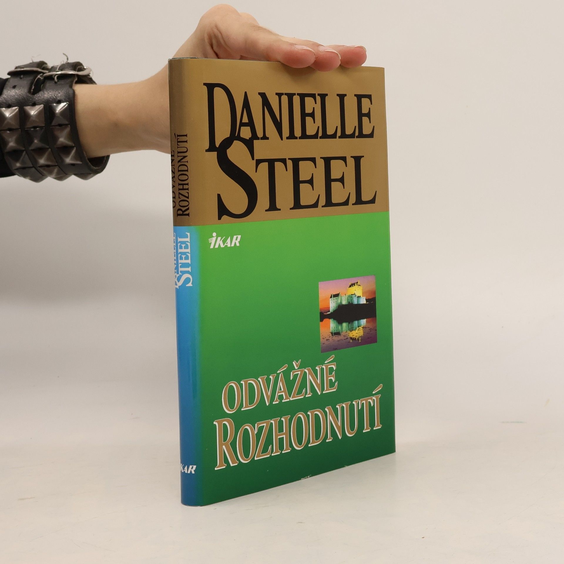 Danielle Steel Odvážné rozhodnutí