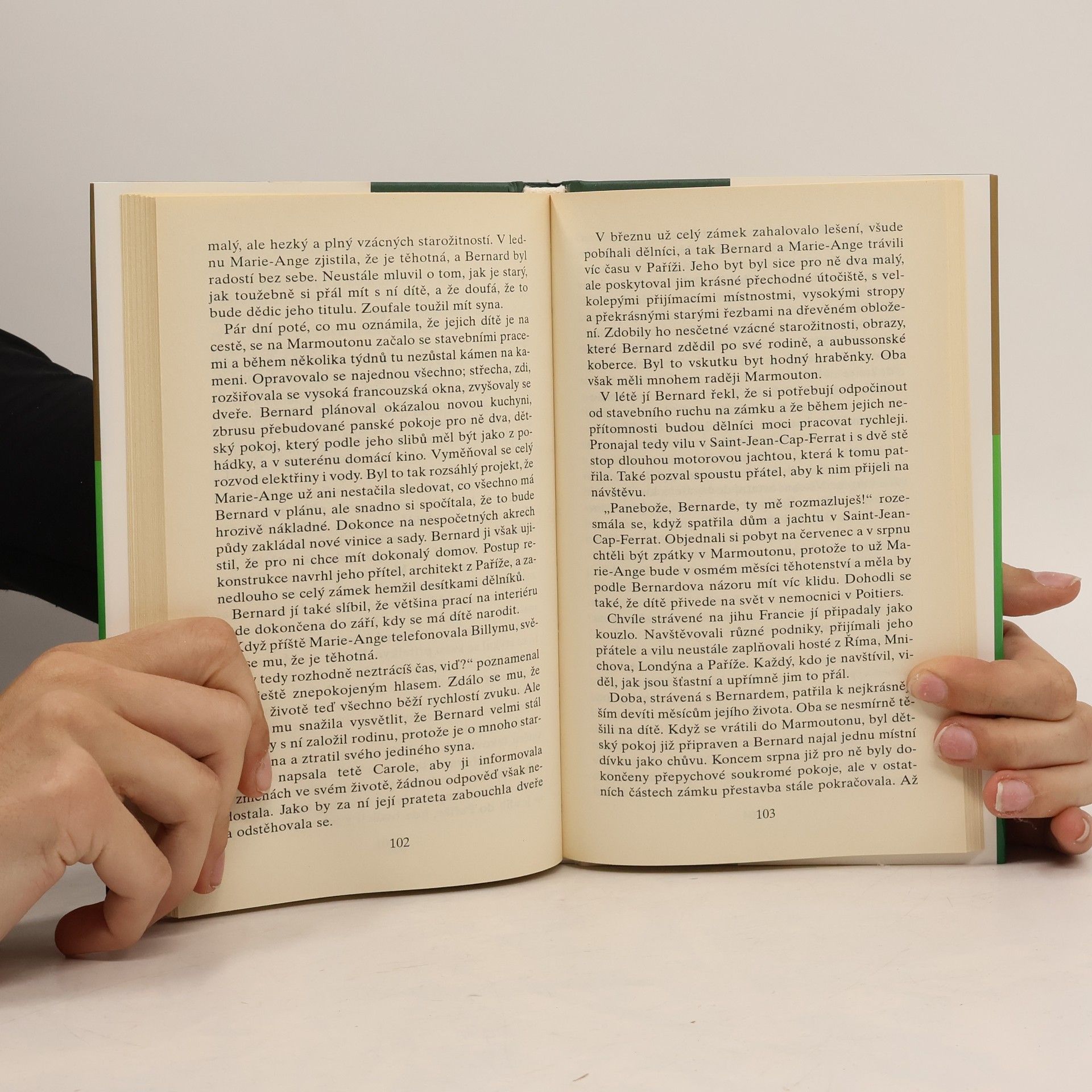 Danielle Steel Odvážné rozhodnutí