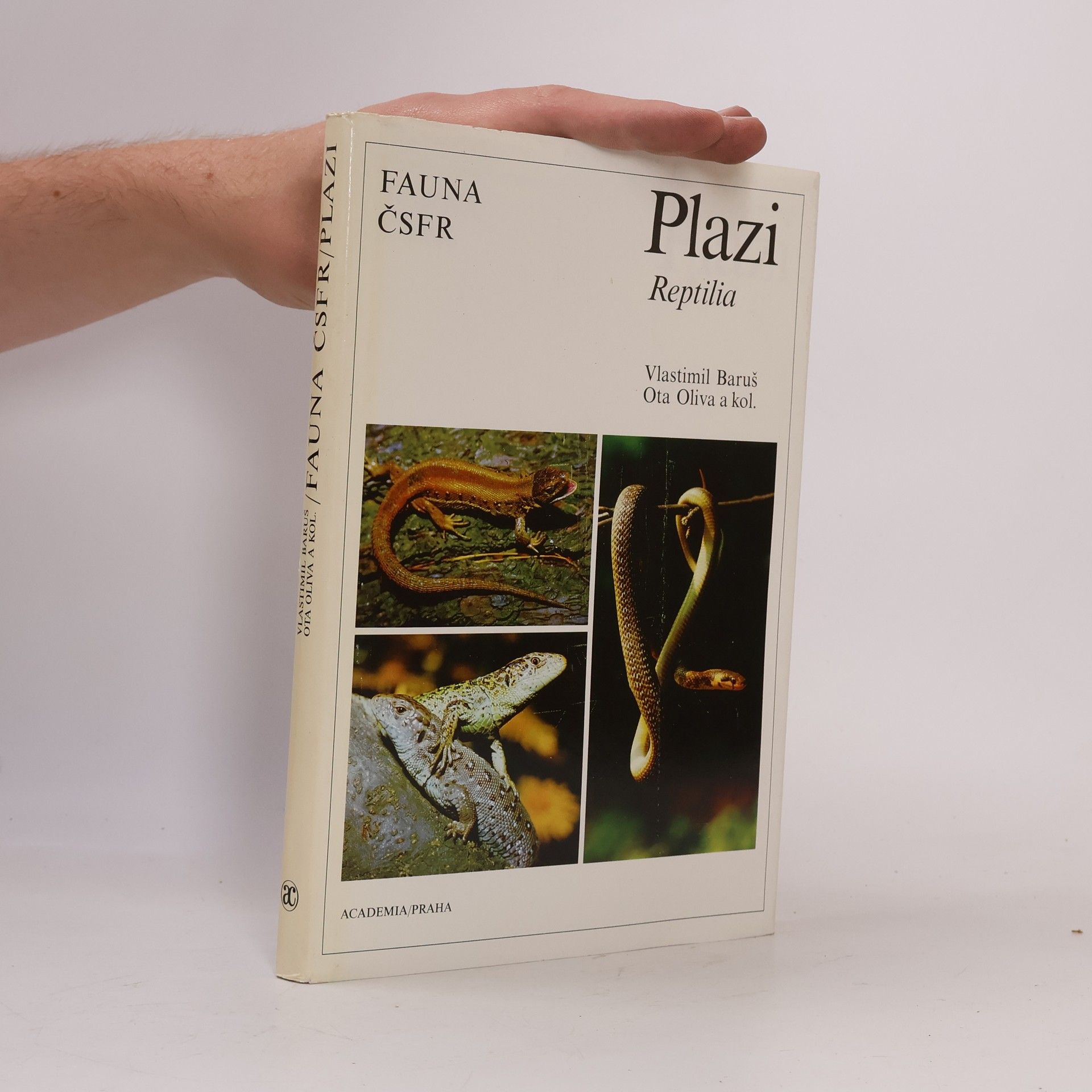 Plazi = Reptilia