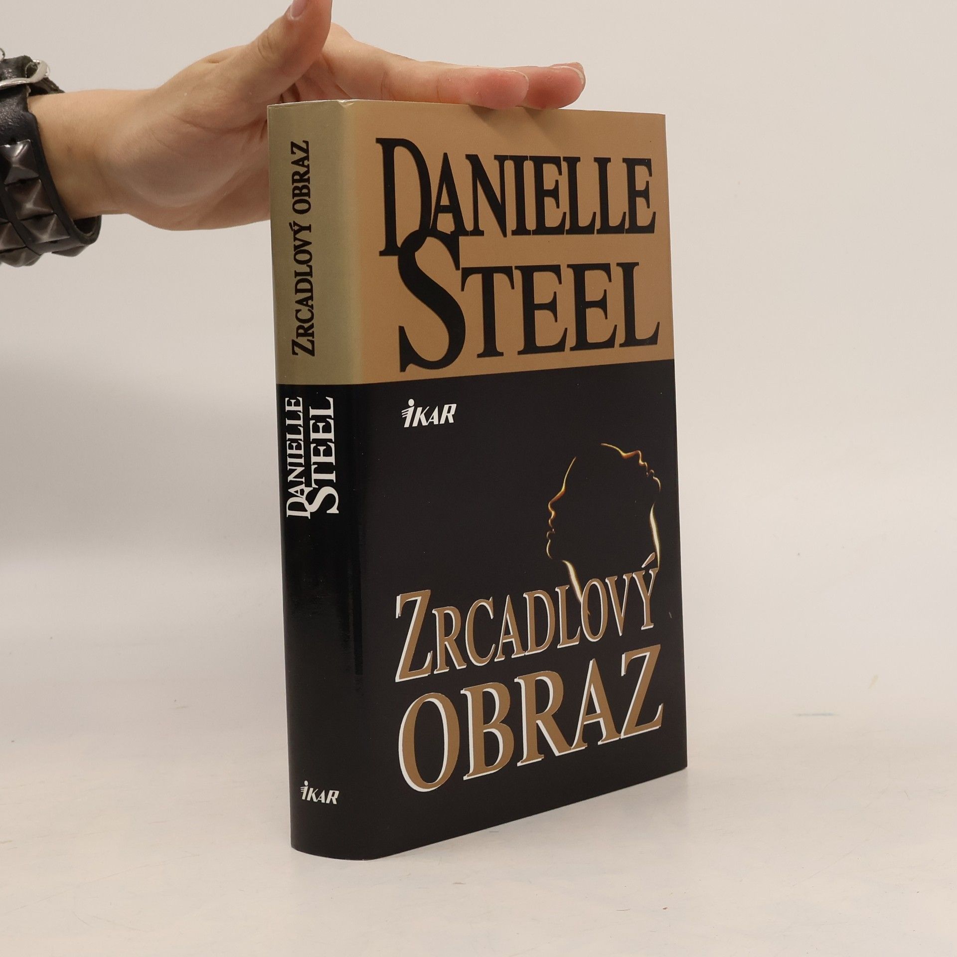 Danielle Steel Zrcadlový obraz