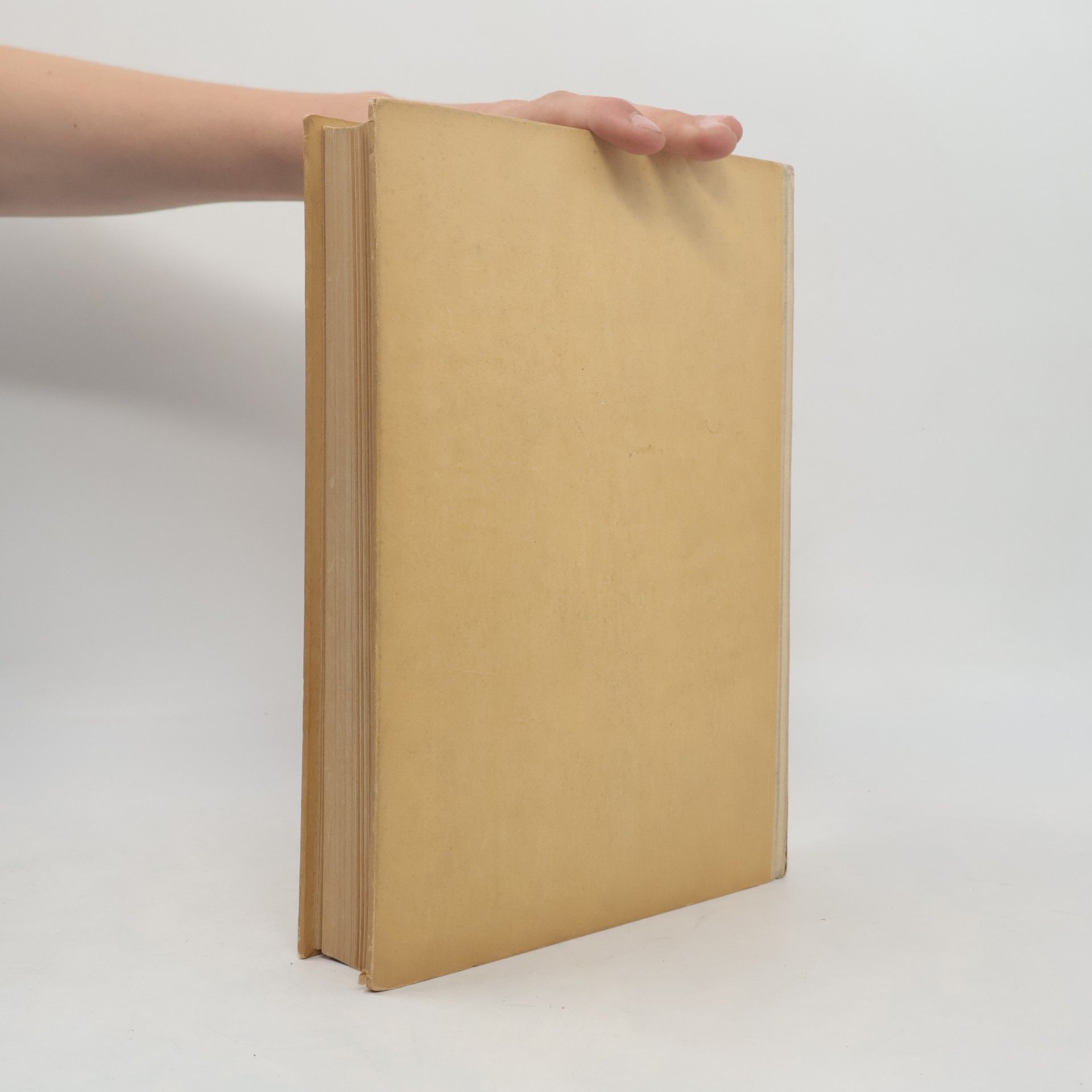 Various authors Žena věčná inspirace umění