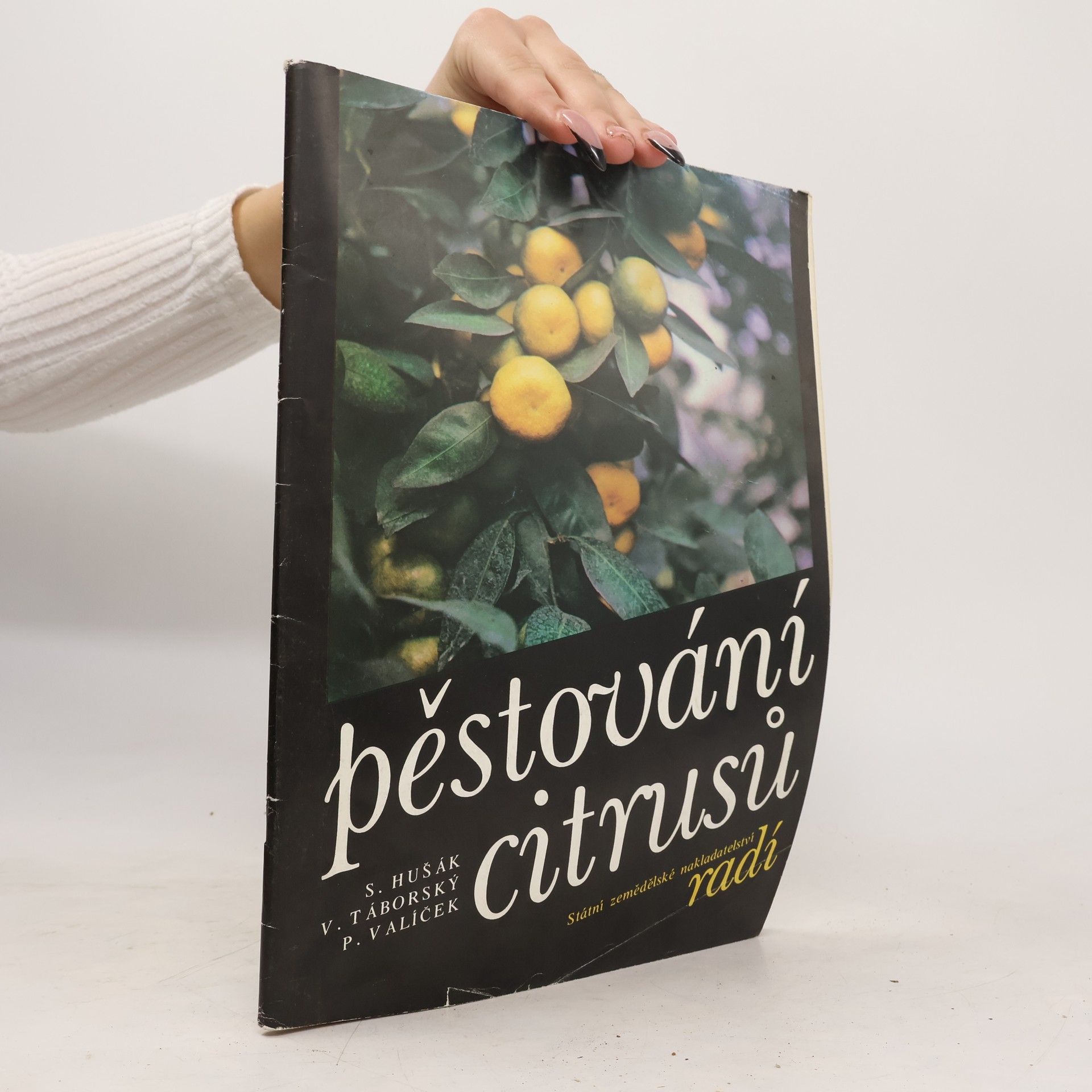 Stanislav Hušák Pěstování citrusů