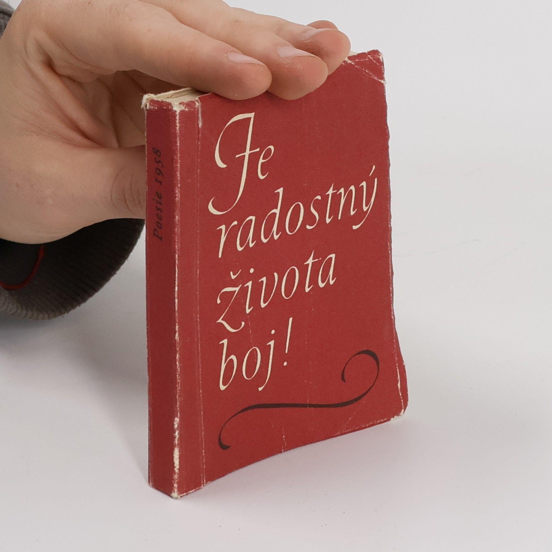 Kolektív autorov Je radostný života boj!