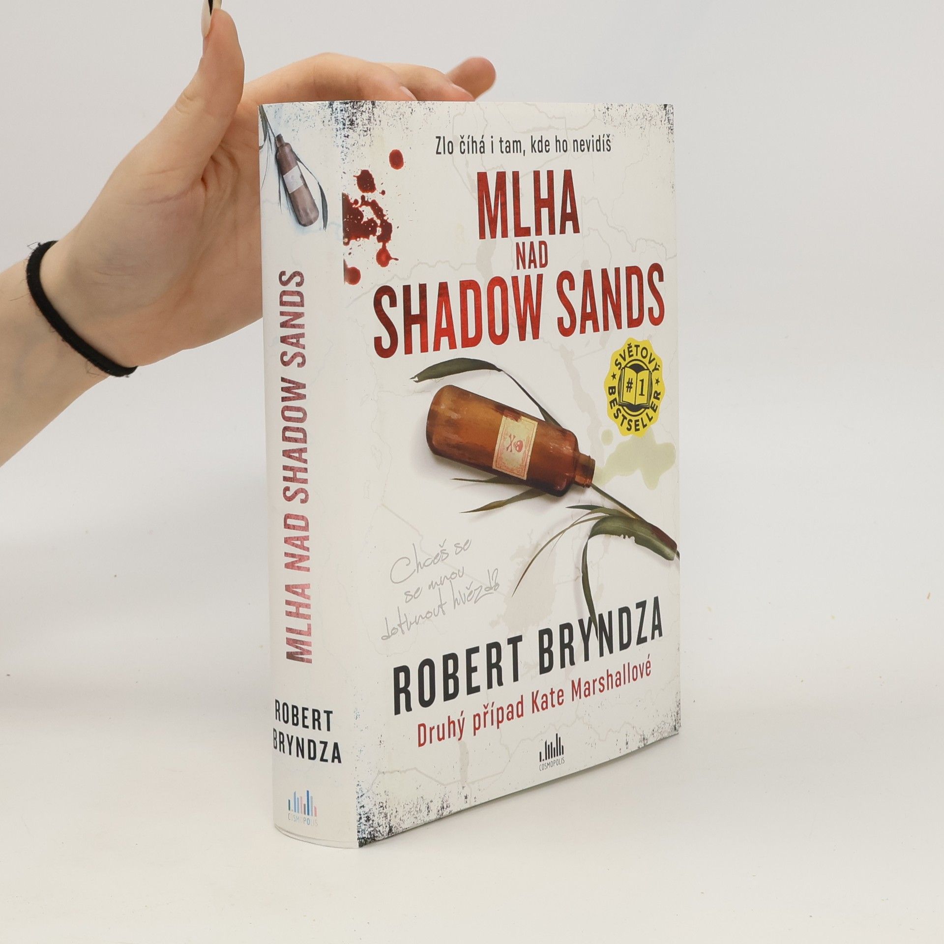 Robert Bryndza Mlha nad Shadow Sands