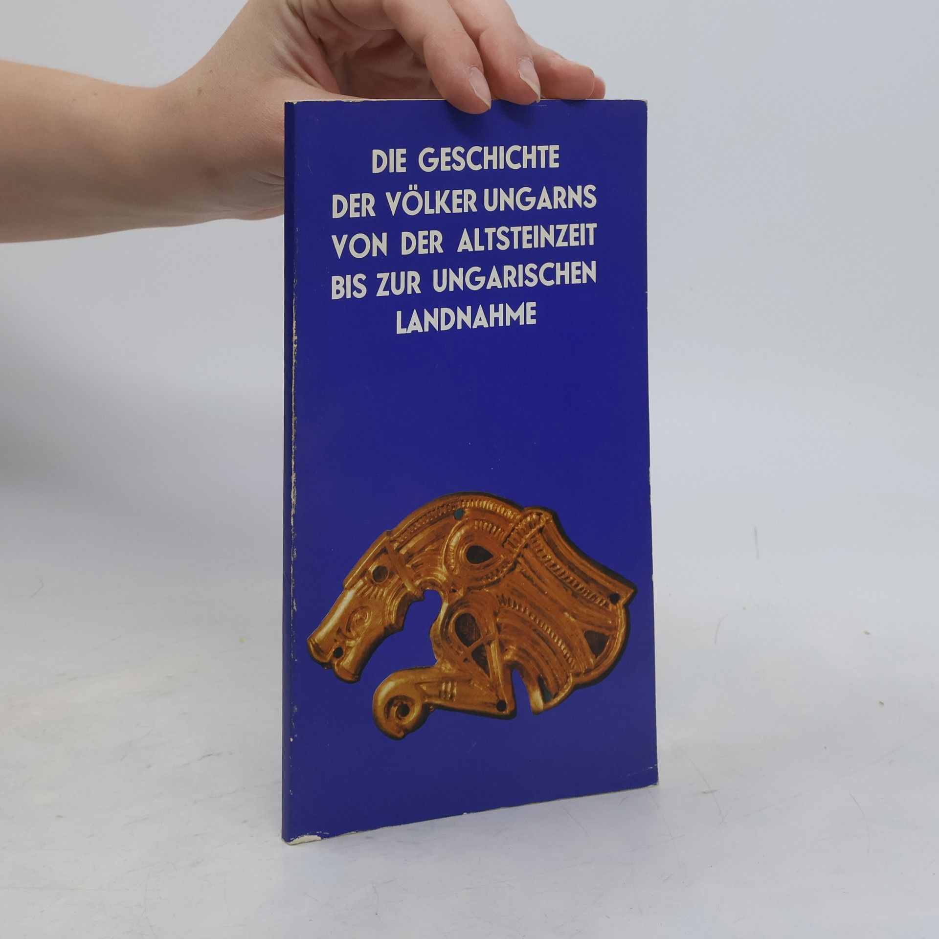 Die Geschichte der Völker Ungarns von der Altsteinzeit bis zur ungarischen Landnahme