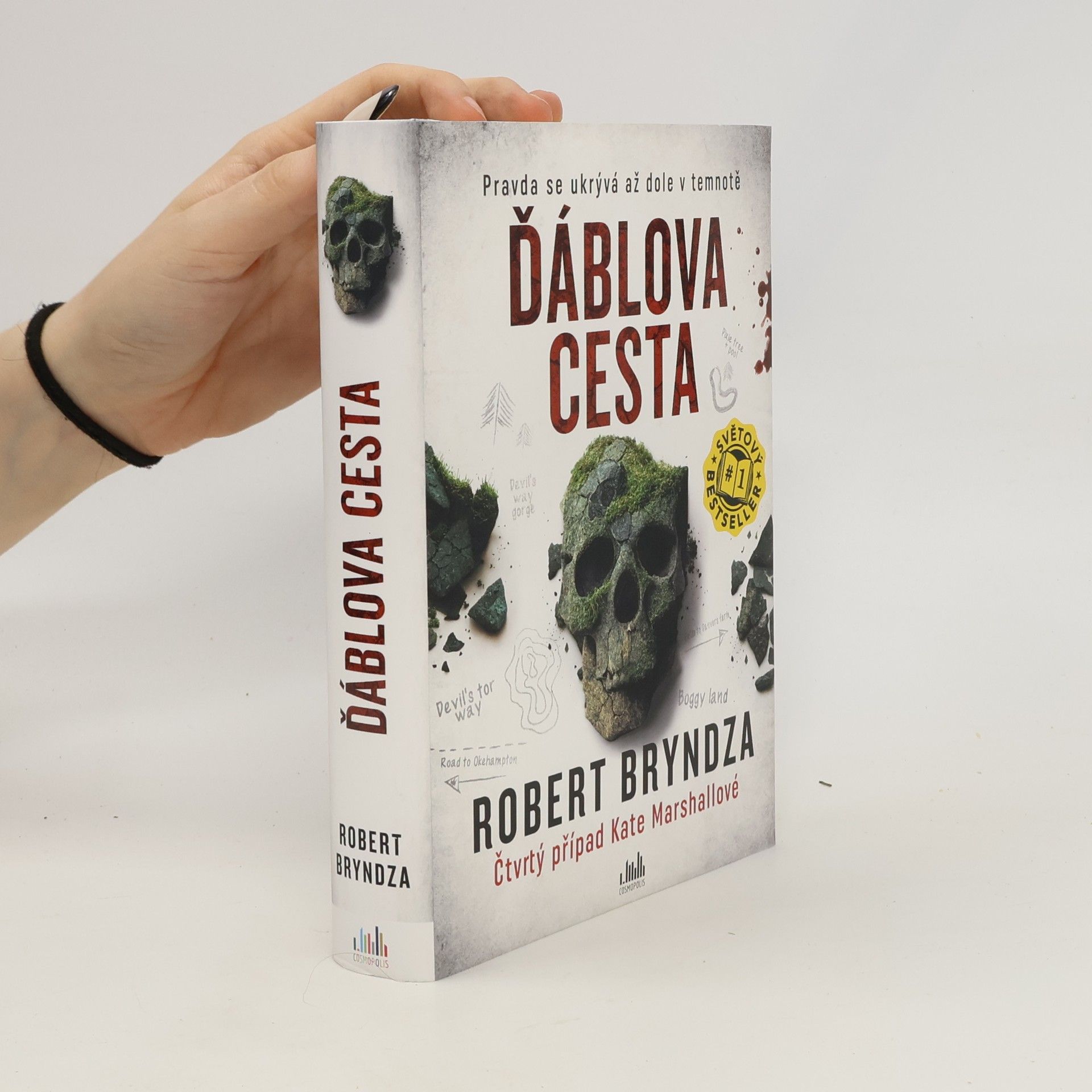 Robert Bryndza Ďáblova cesta