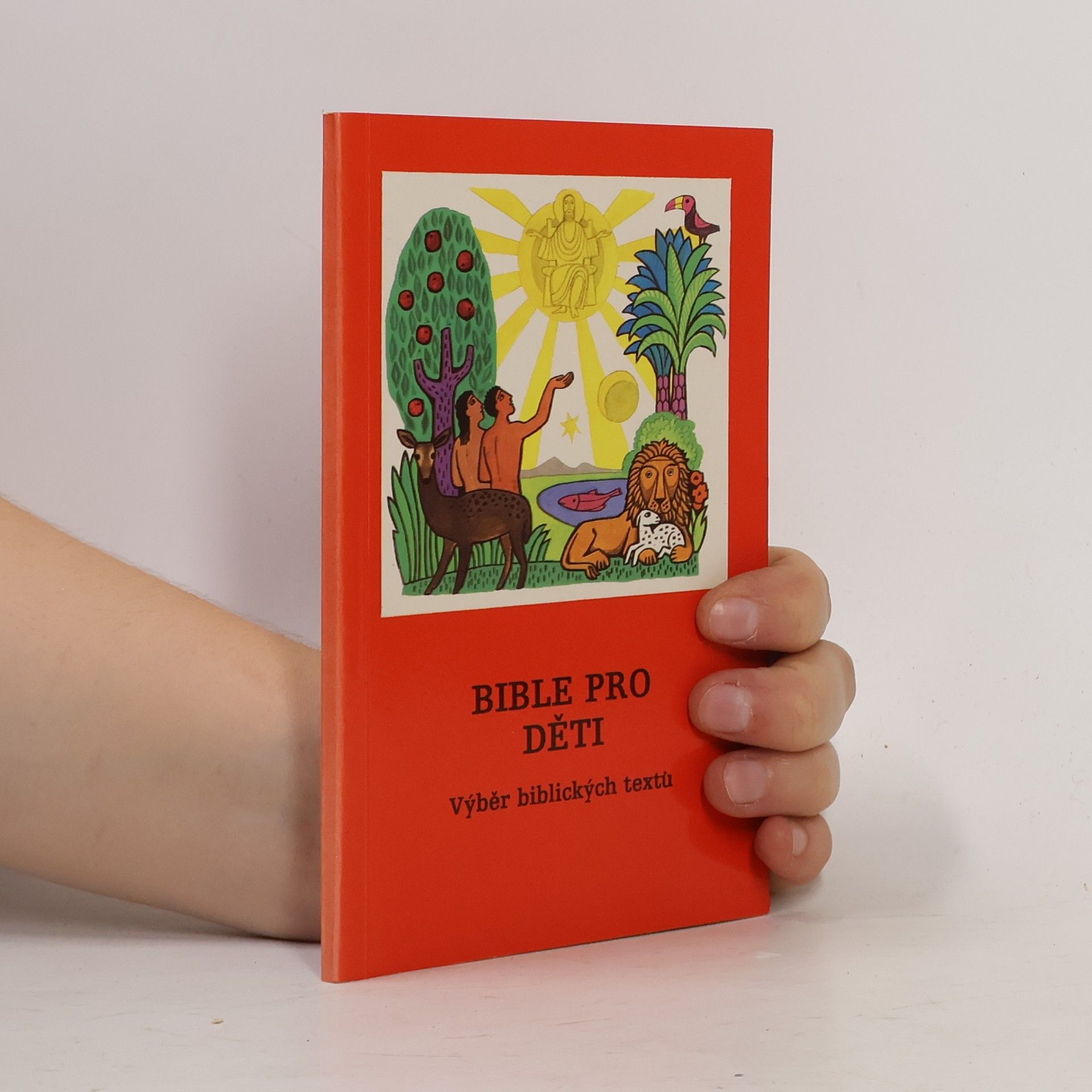 Kolektiv autorů Bible pro děti