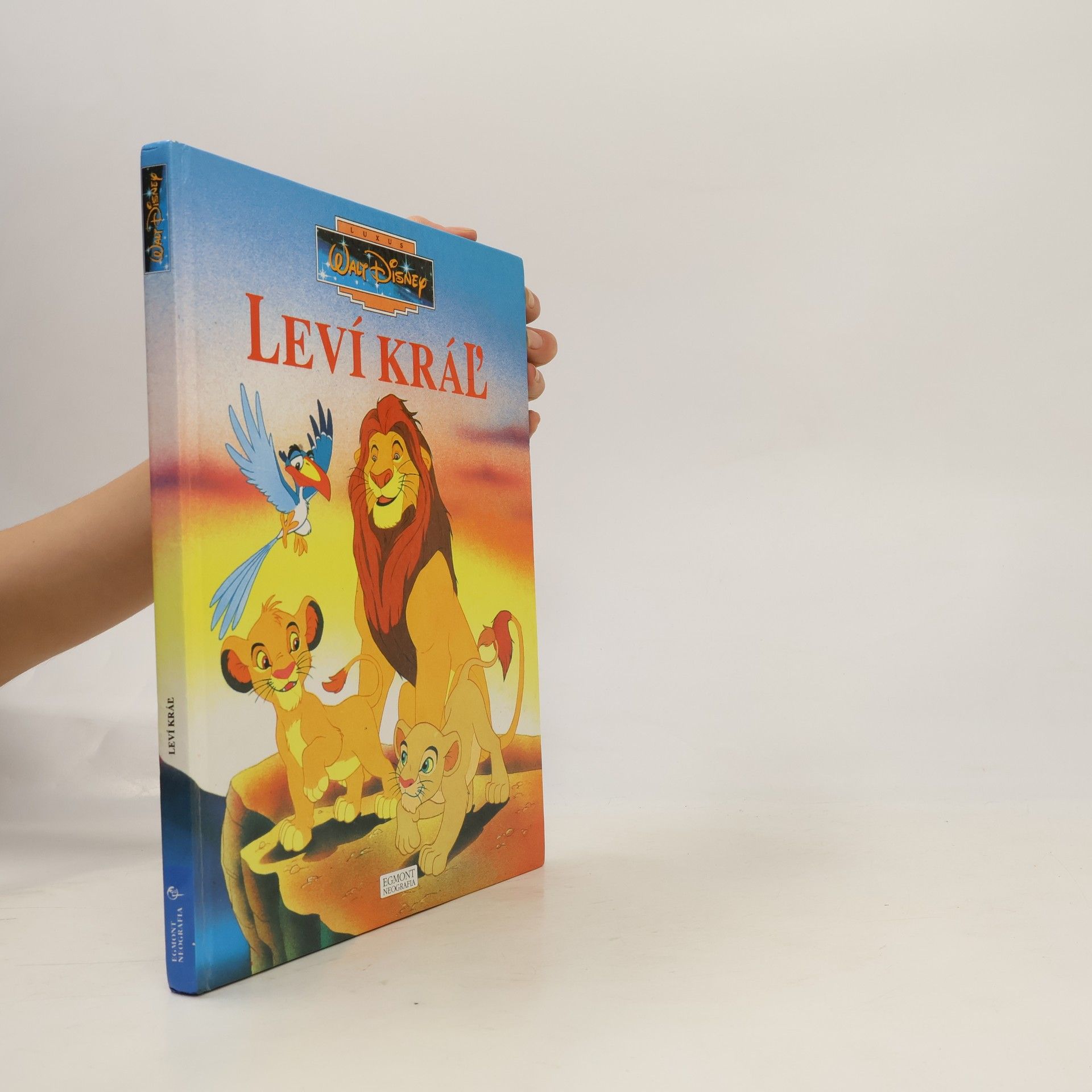 kolektiv Leví kráľ