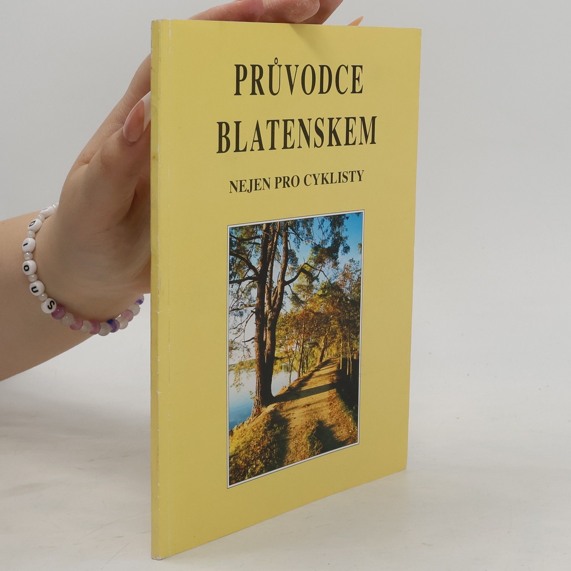 Kolektiv autorů Průvodce Blatenskem