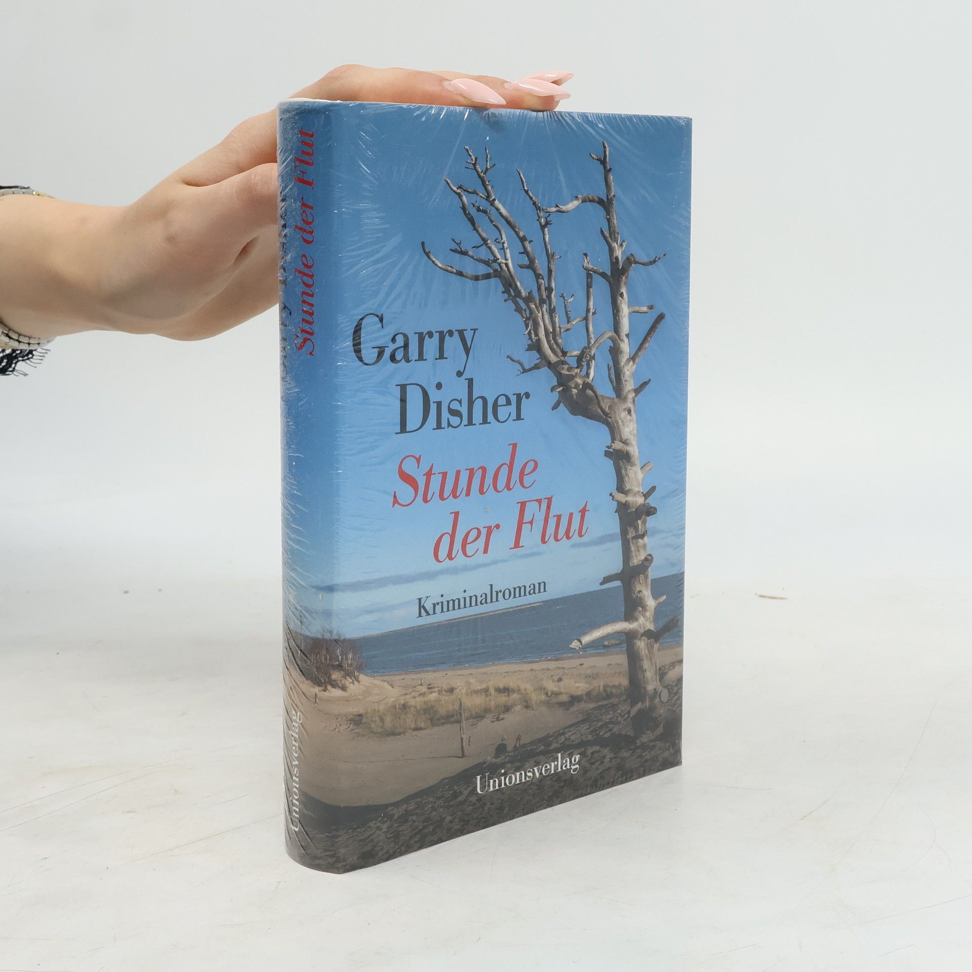 Garry Disher Stunde der Flut