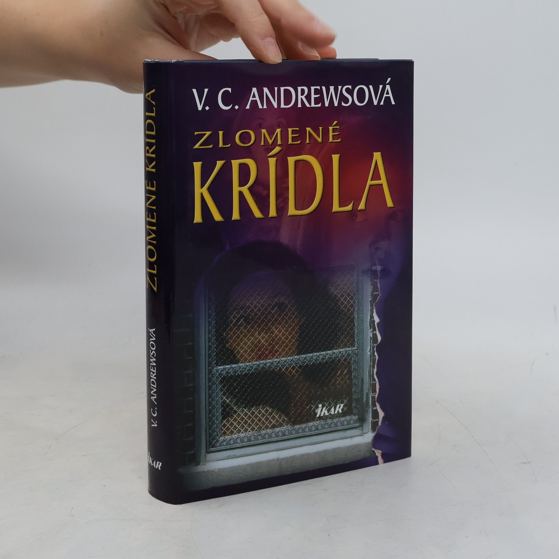 Virginia C. Andrewsová Zlomené krídla