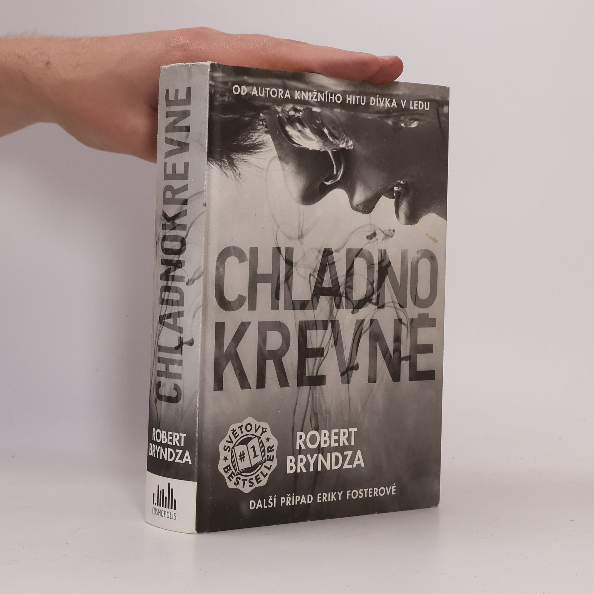 Robert Bryndza Chladnokrevně