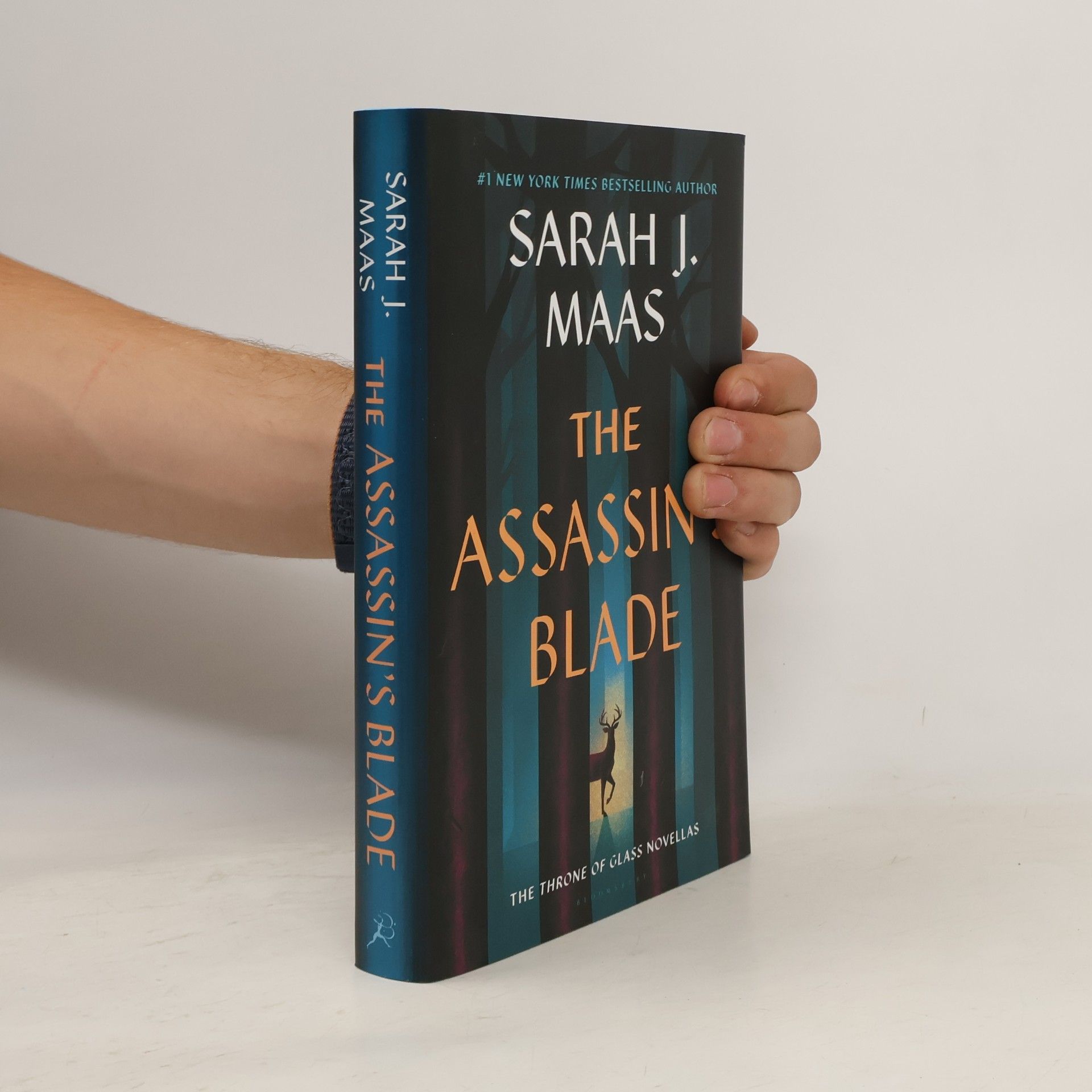 Sarah J. Maas The Assassin's Blade