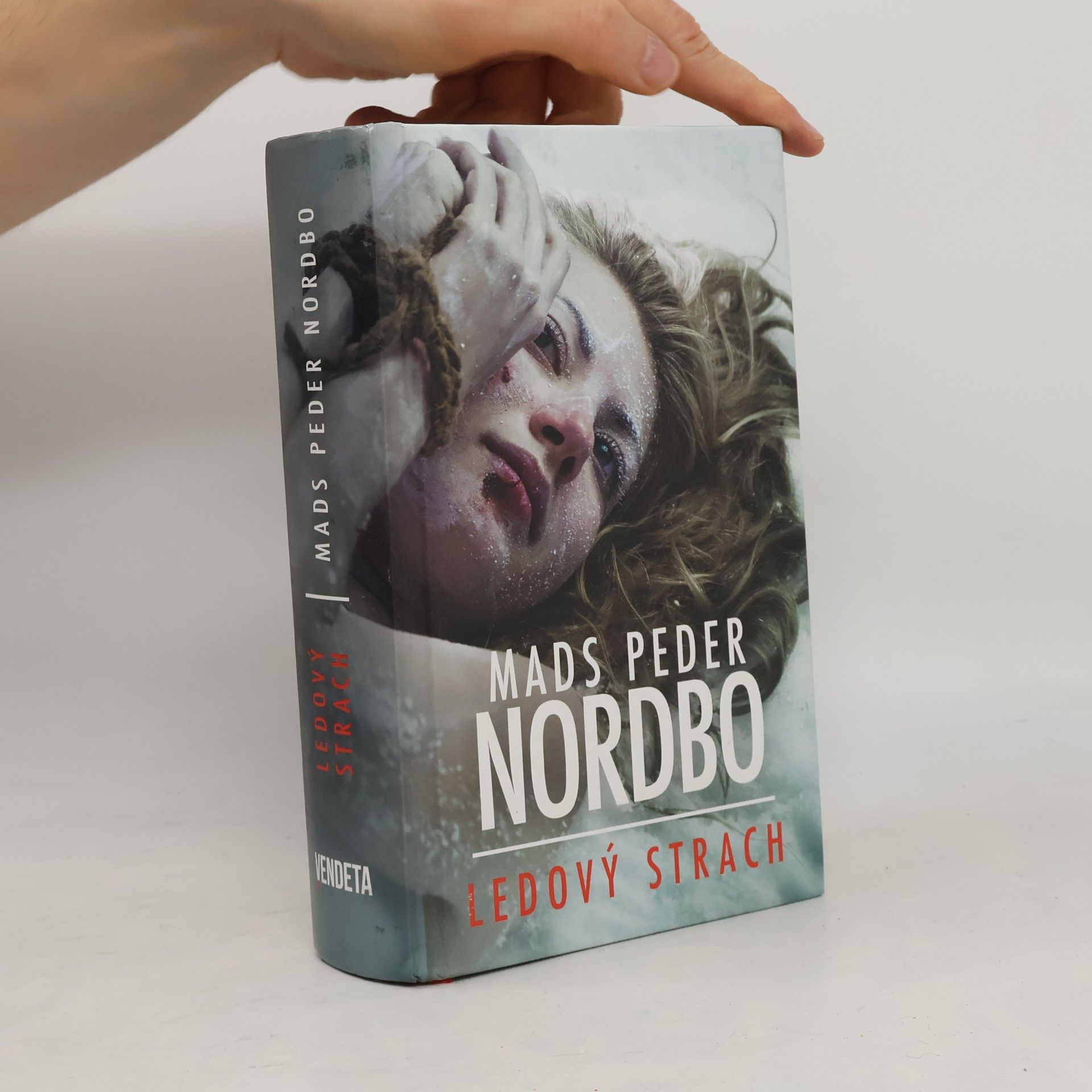 Mads Peder Nordbo Ledový strach