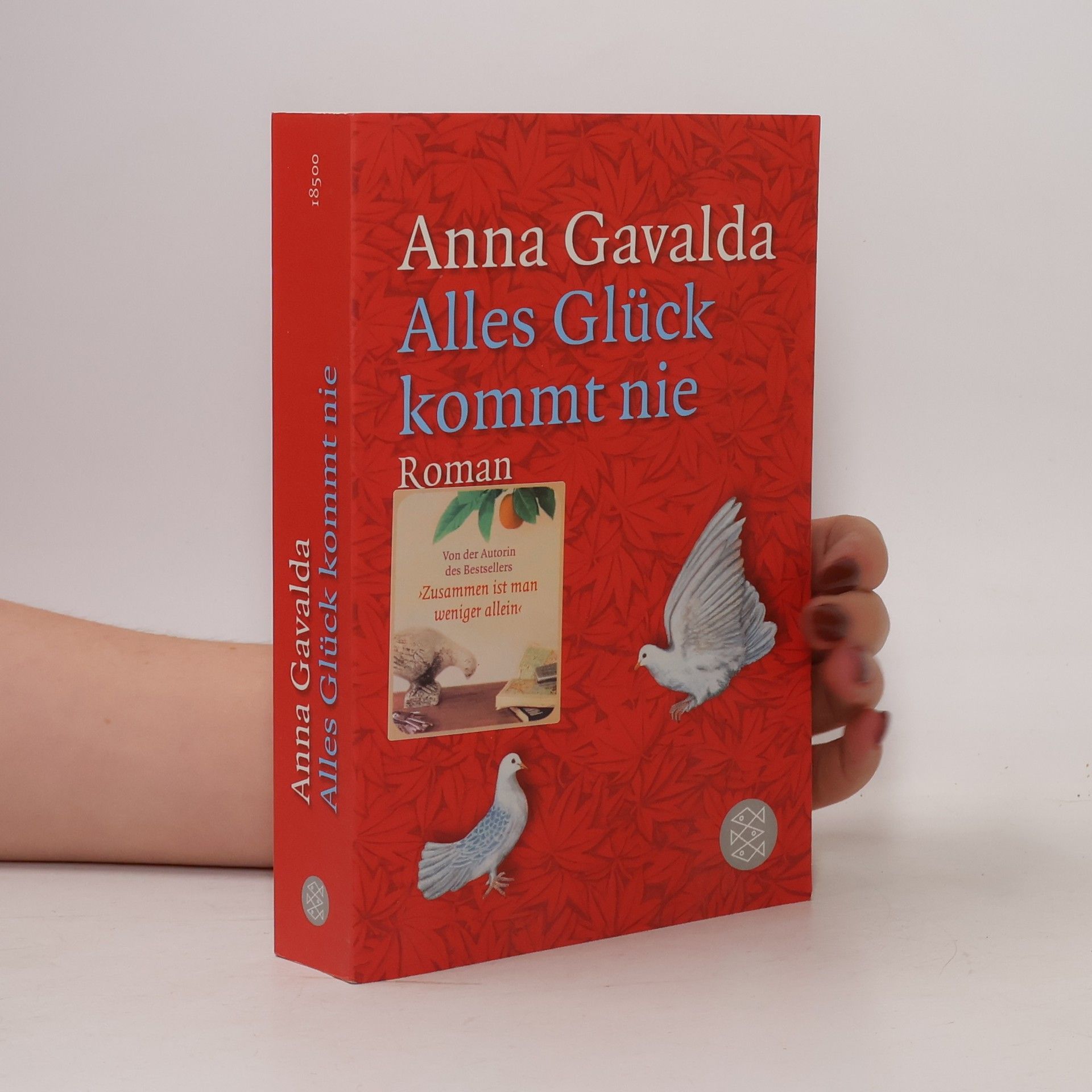 Anna Gavalda Alles Glück kommt nie