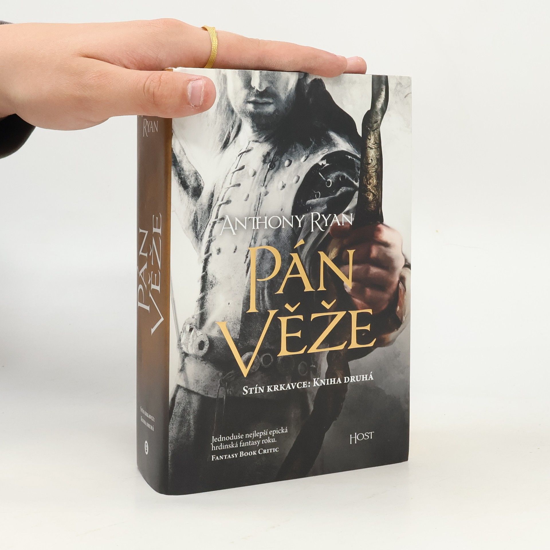 Pán věže: stín krkavce. Kniha druhá