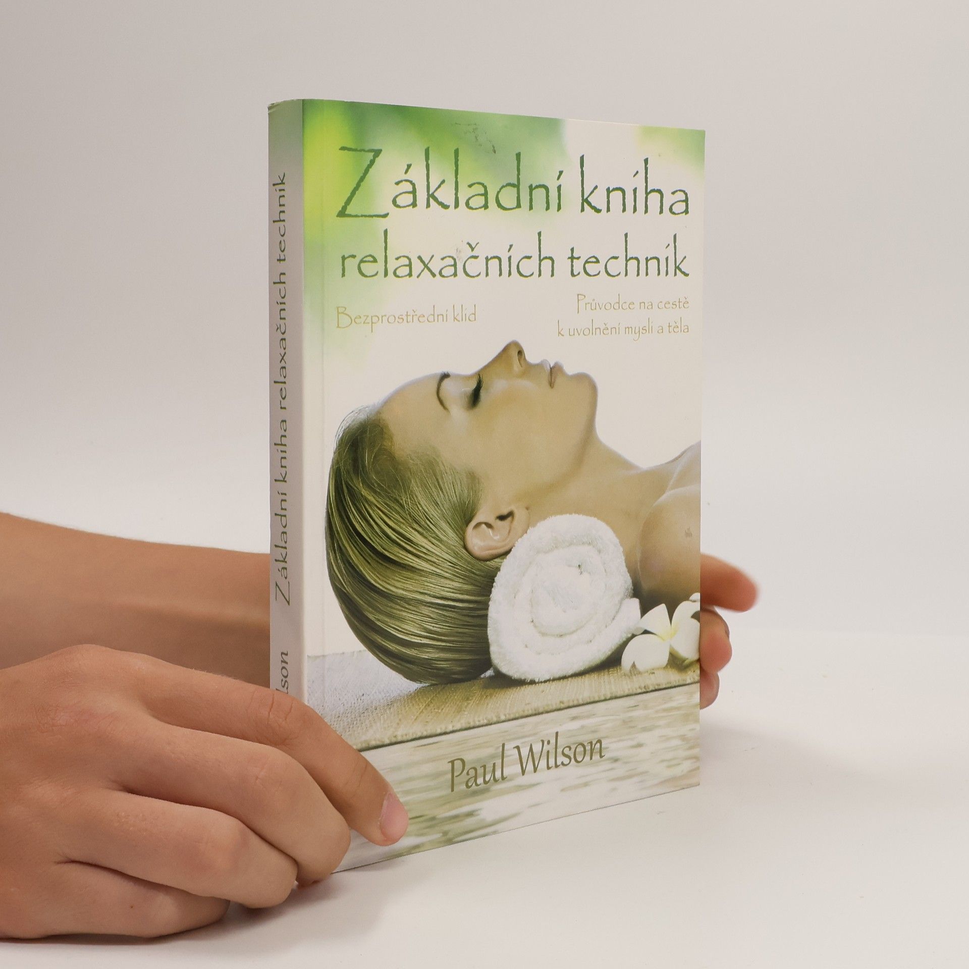 Paul Wilson Základní kniha relaxačních technik