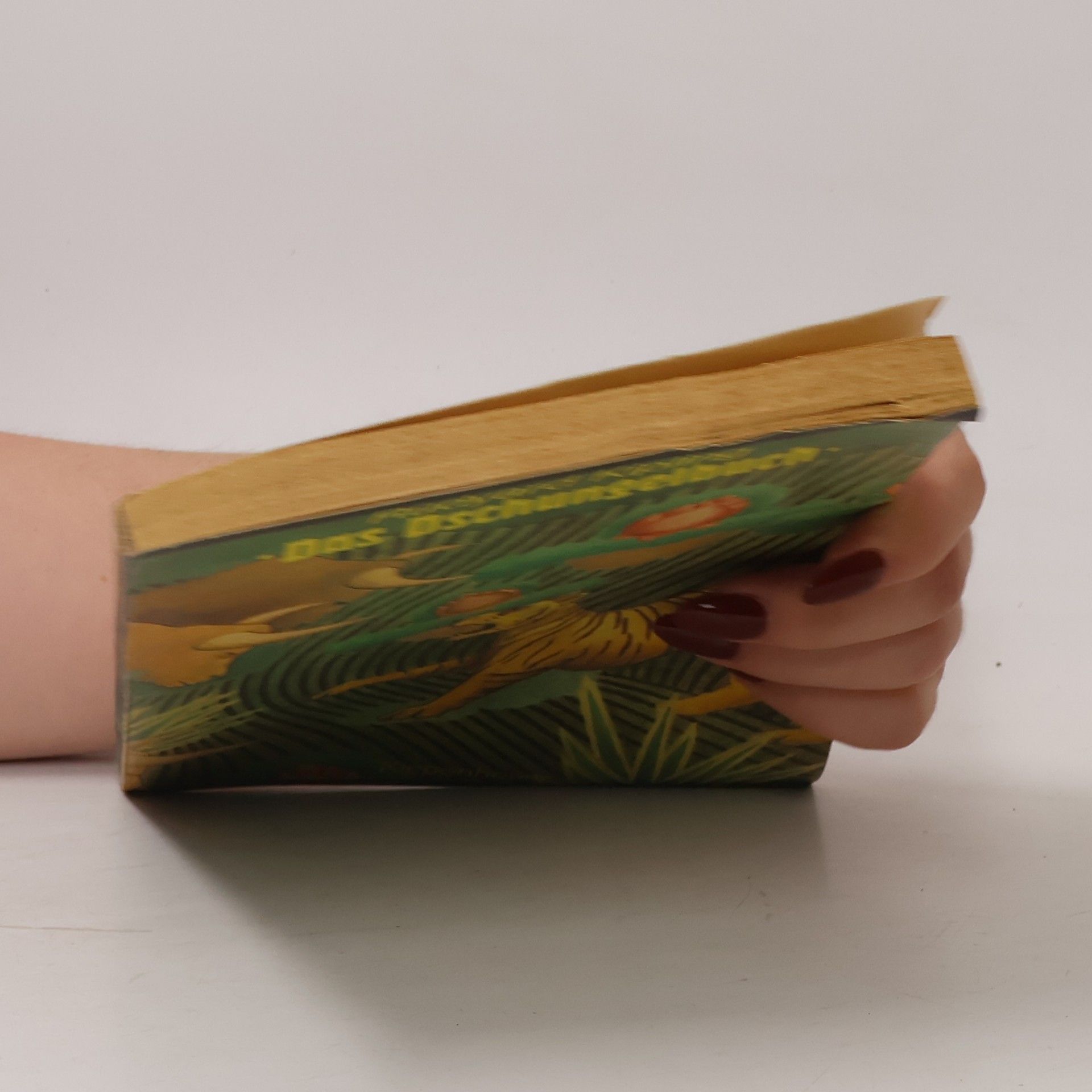 Rudyard Kipling Das Dschungelbuch