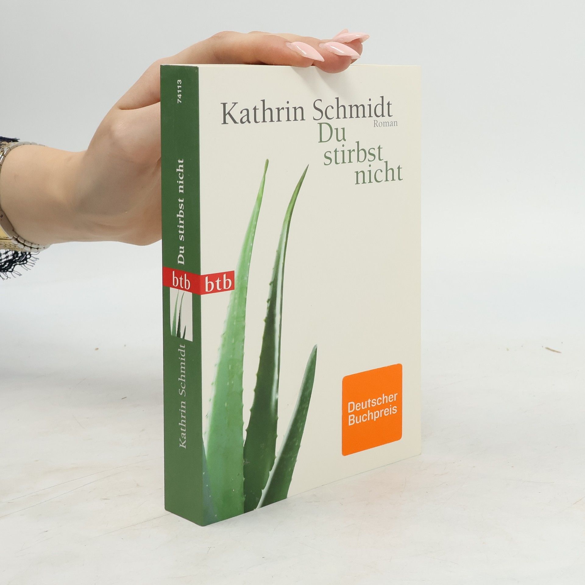 Kathrin Schmidt Du stirbst nicht