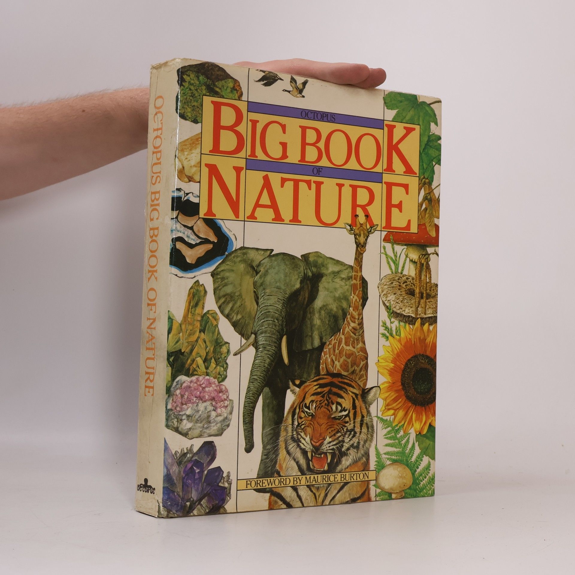 AA.VV. Octopus Big Book of Nature