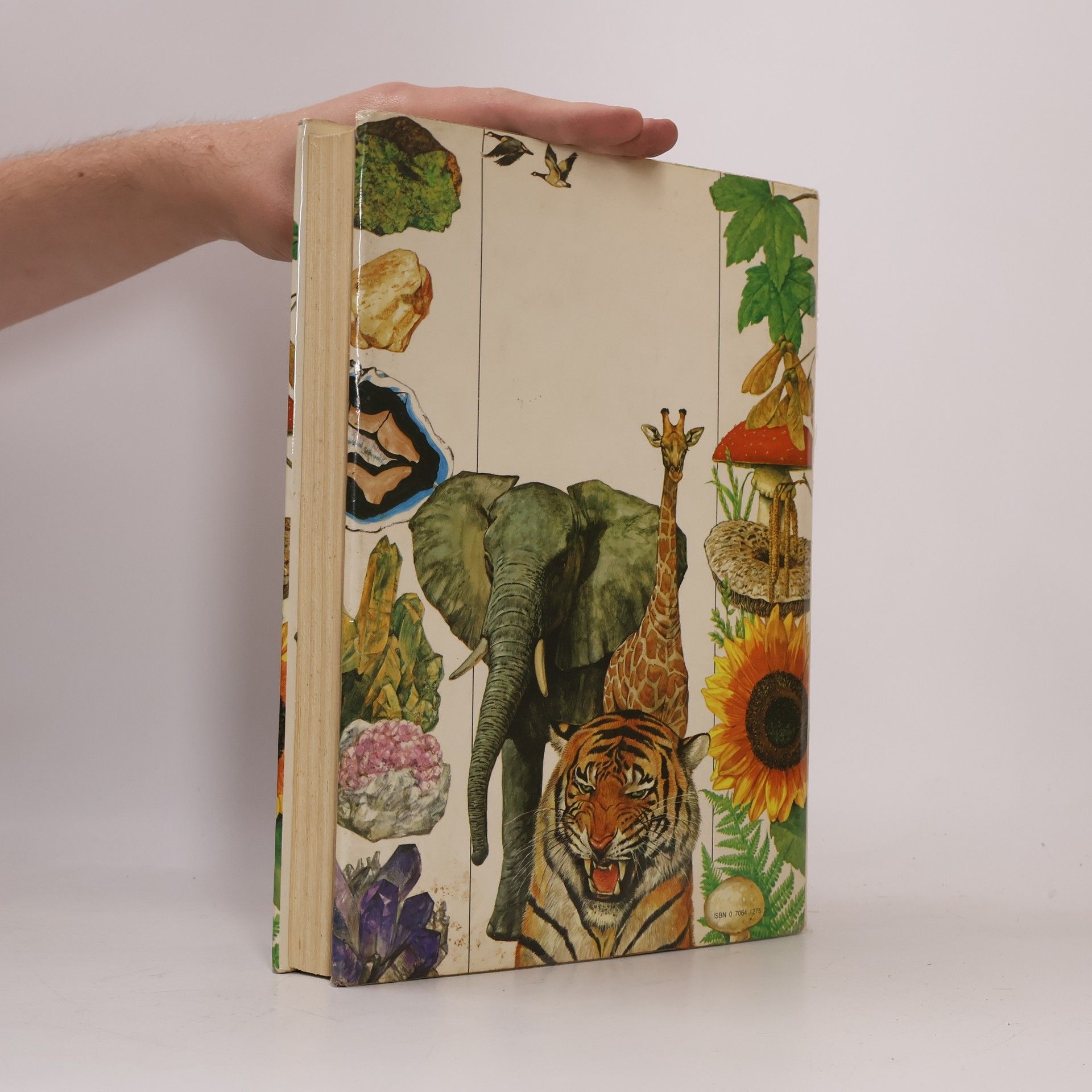 Auteurscollectief Octopus Big Book of Nature