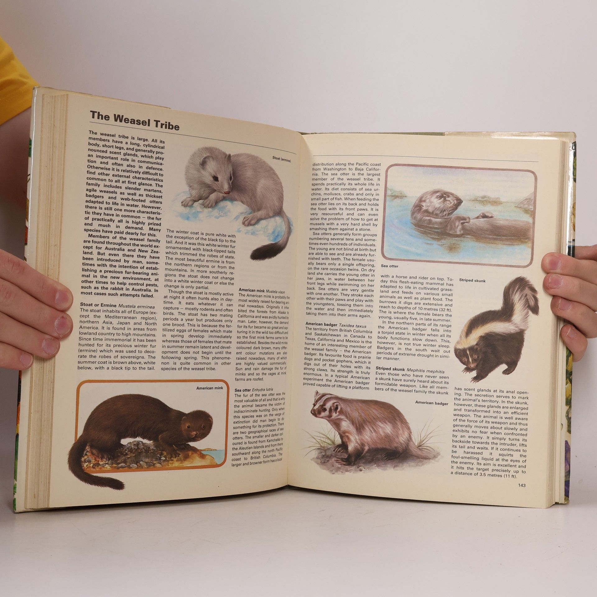 Auteurscollectief Octopus Big Book of Nature