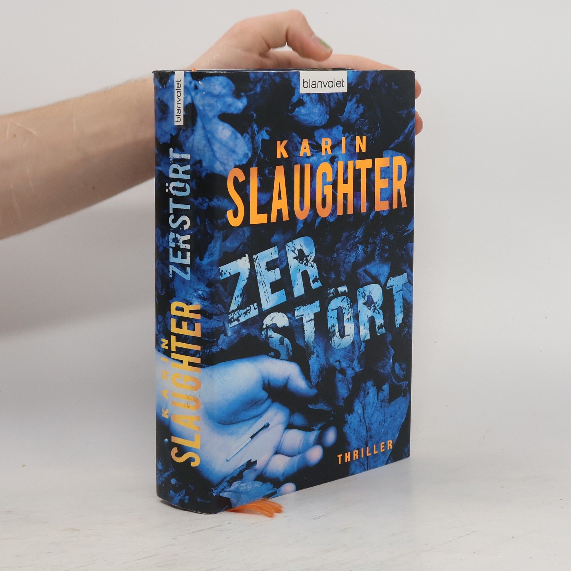 Karin Slaughter Zerstört