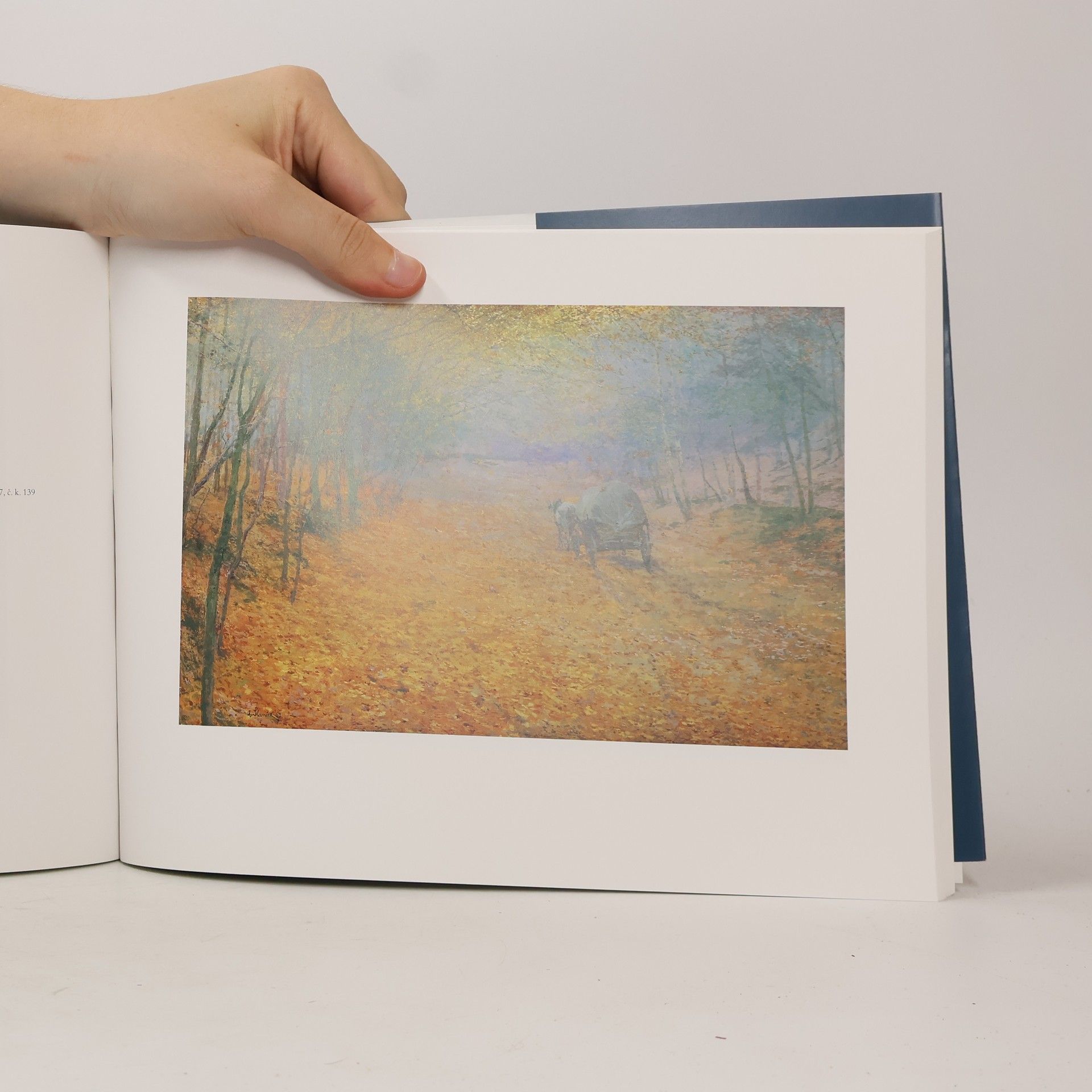 Jaroslav Anděl Proměny krajiny v českém malířství 20. století ze sbírek Národní galerie v Praze