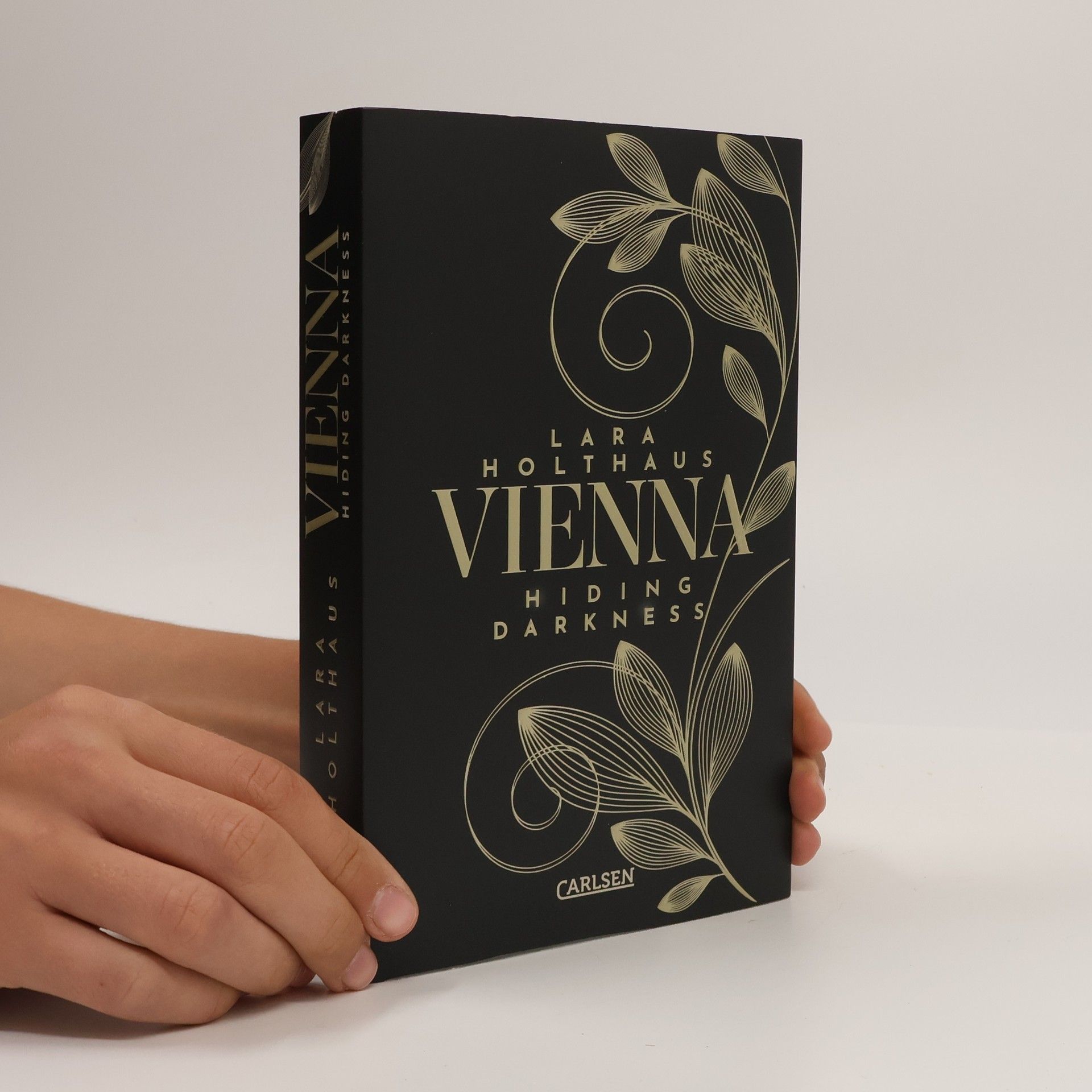 Lara Holthaus Vienna 2. Hiding Darkness