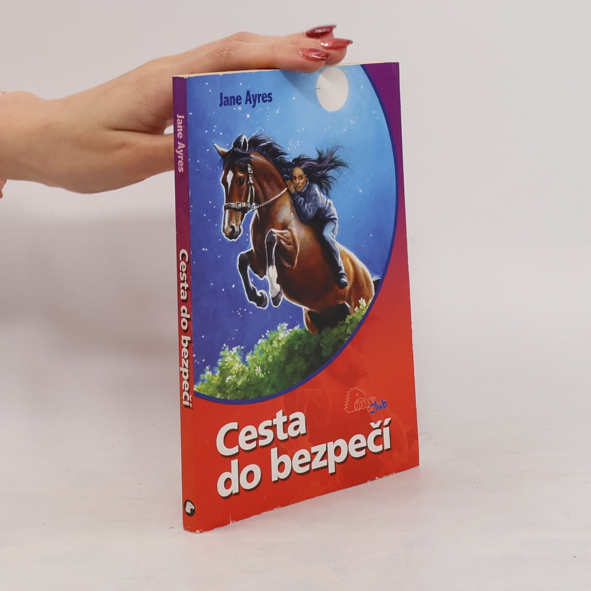 Jane Ayres Cesta do bezpečí