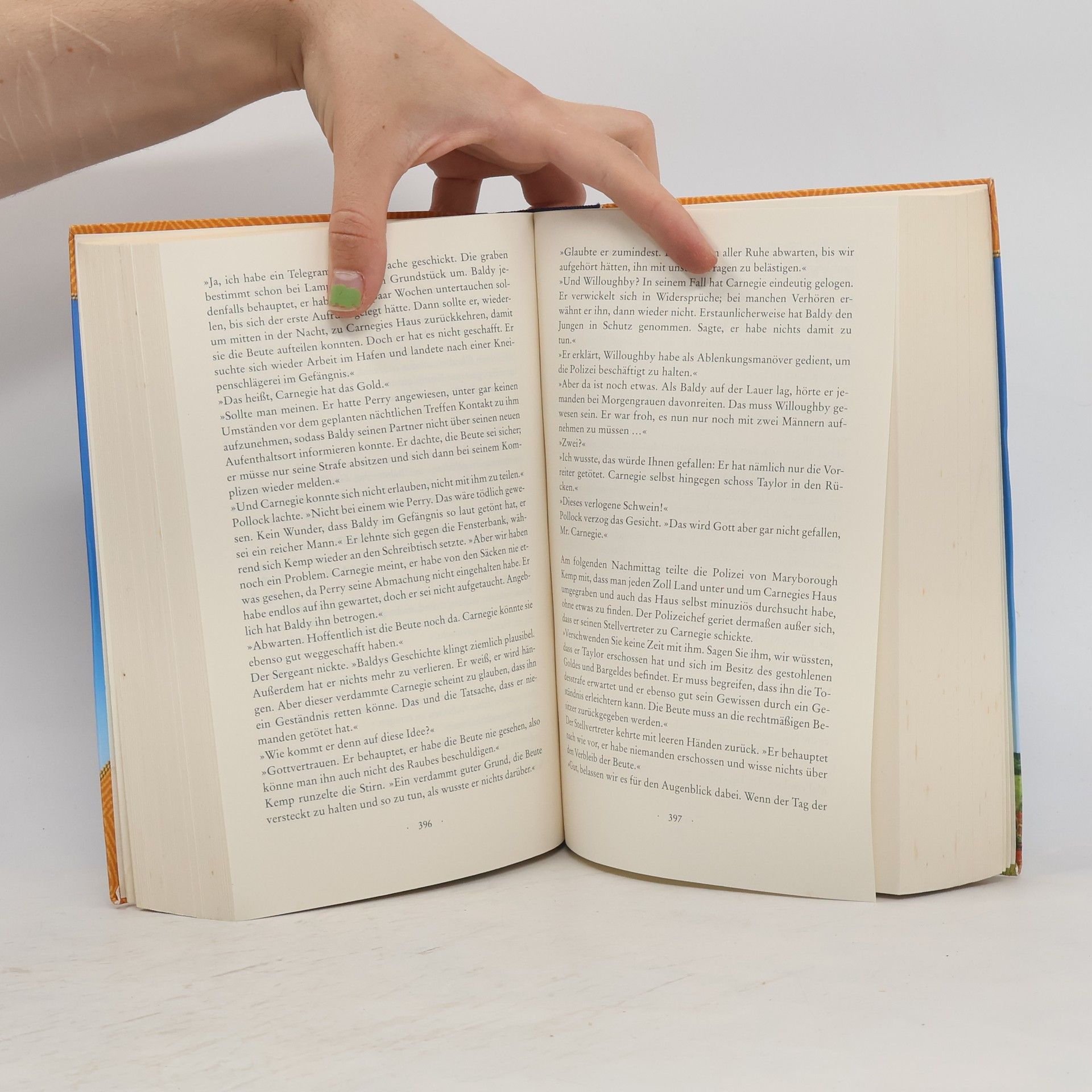 Patricia Shaw Feuerbucht. Der Ruf des Regenvogels