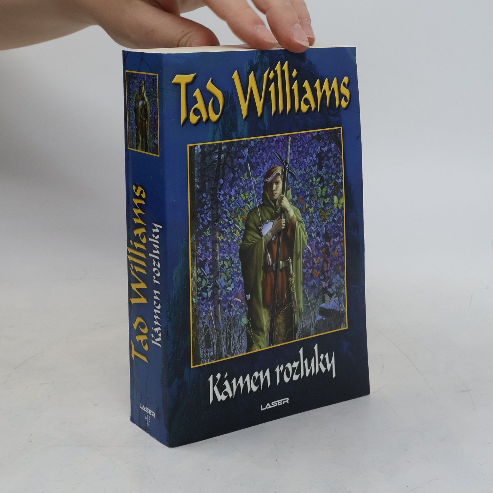 Tad Williams Kámen rozluky