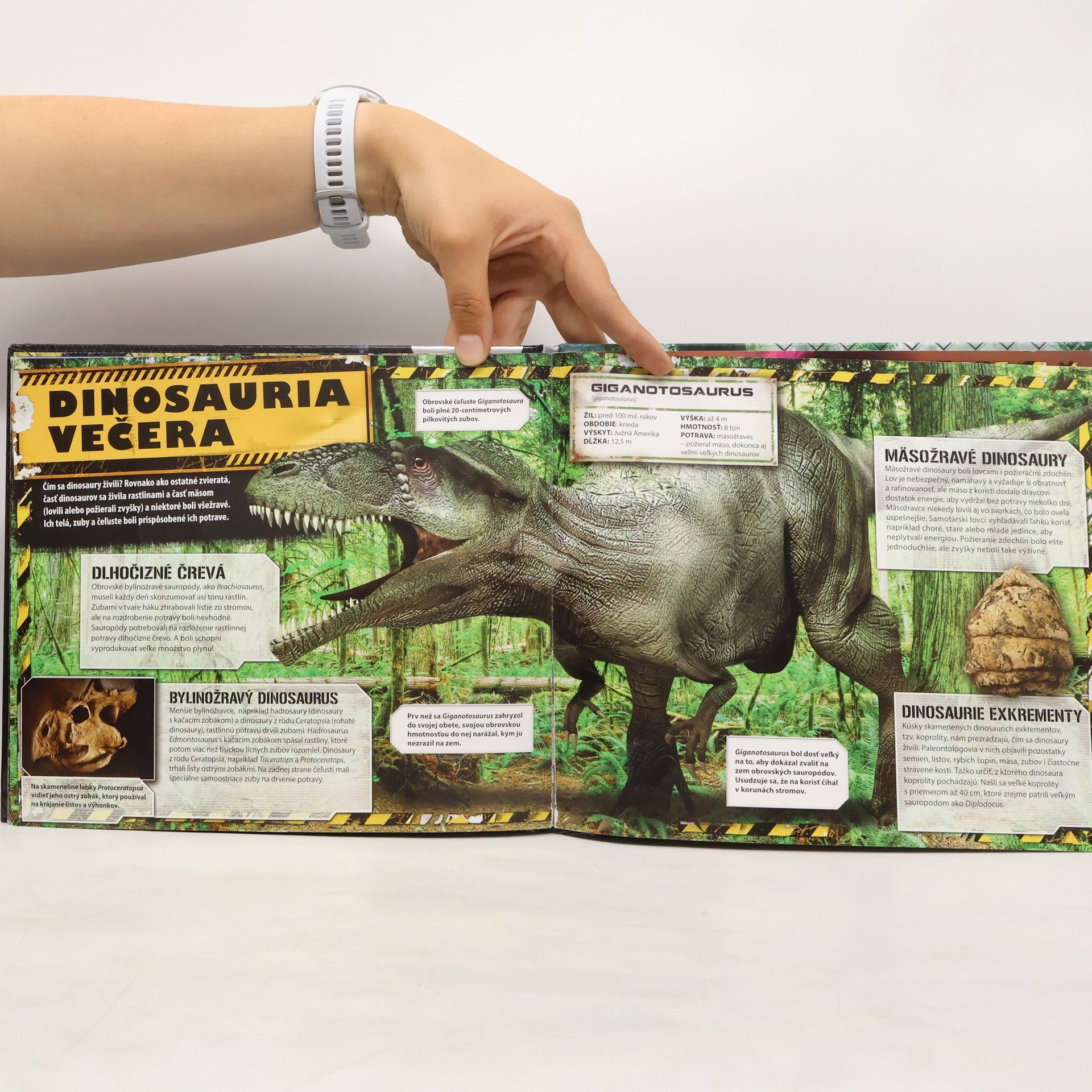 Kolektiv autorů Dinosaurus (rozšírená realita)