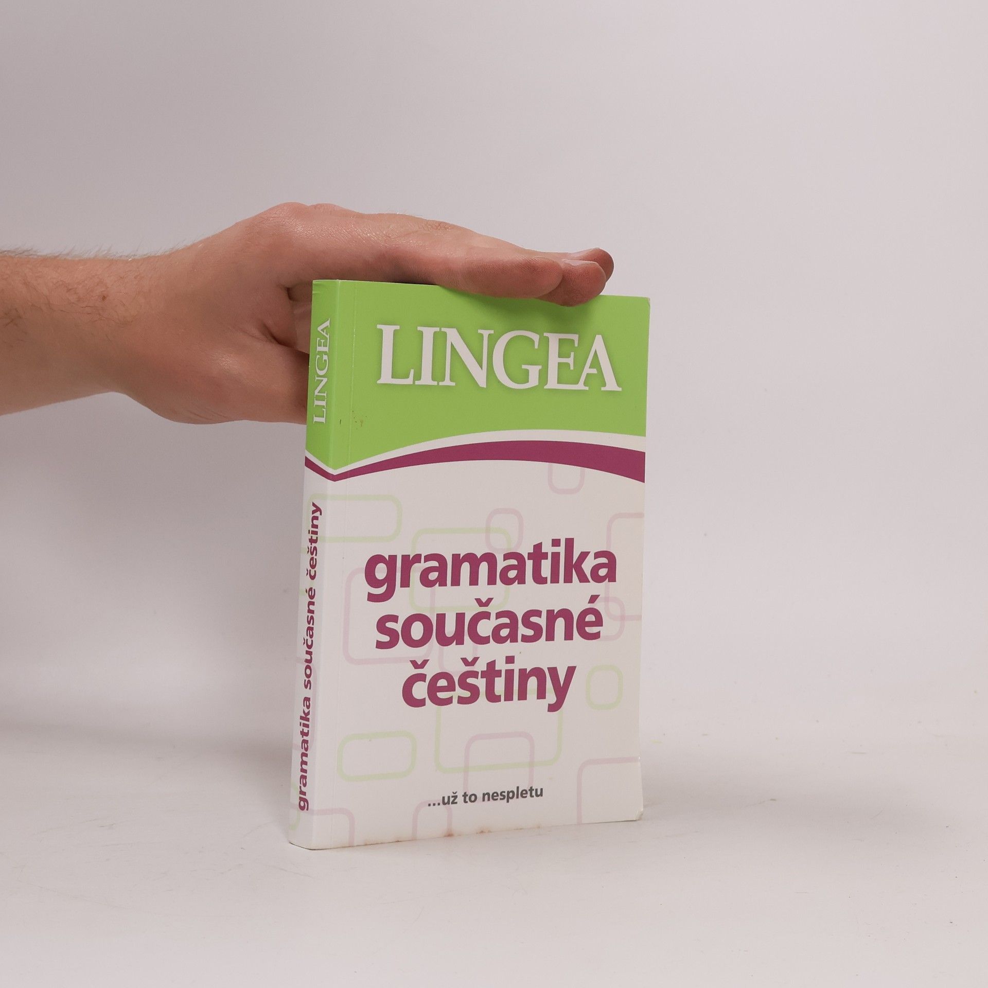 Kolektiv autorů Gramatika současné češtiny