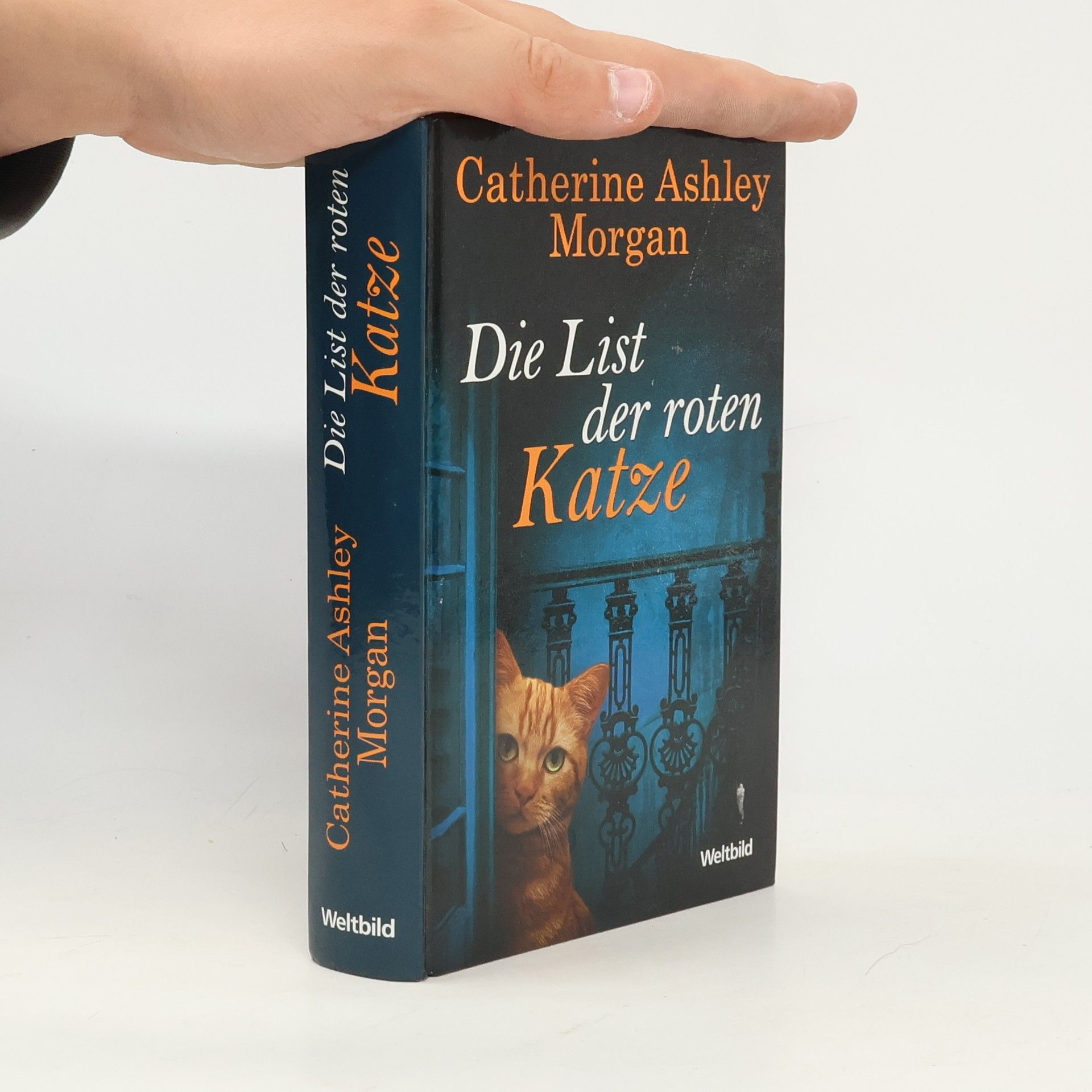 Die List der roten Katze