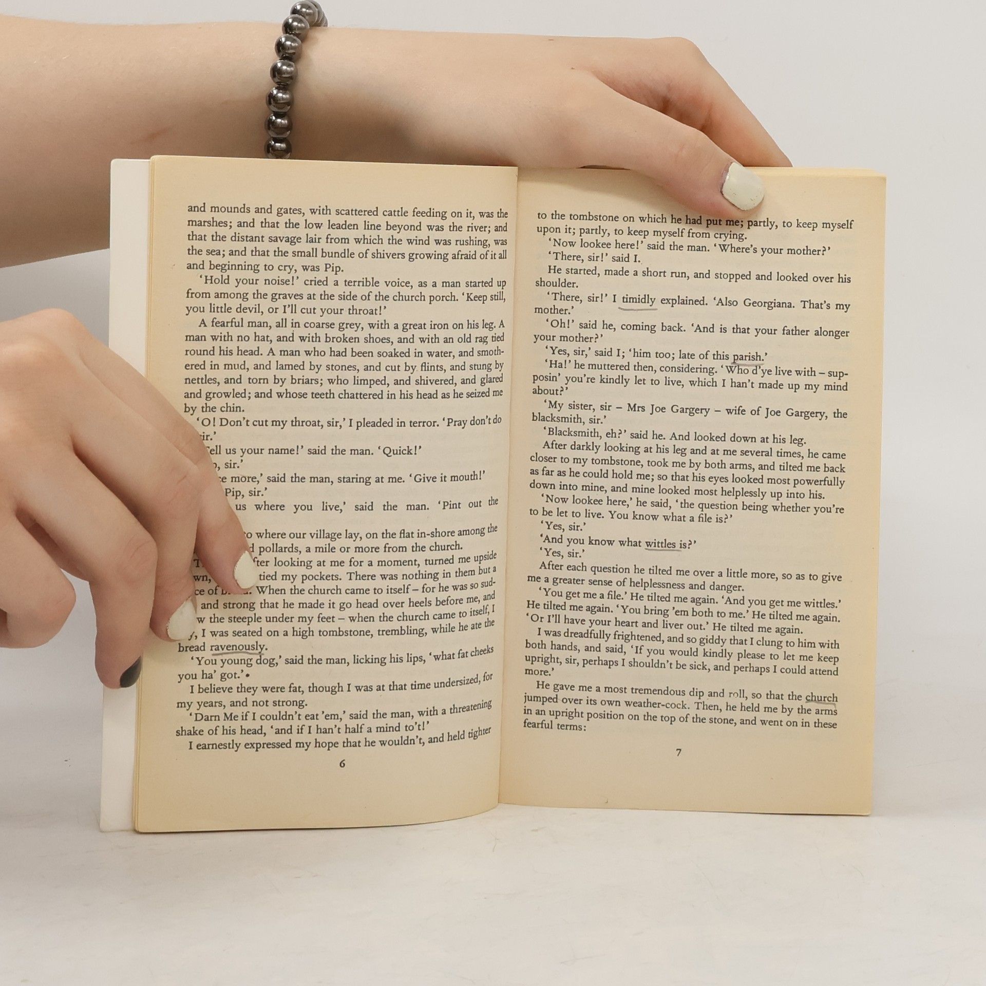 Charles Dickens Great Expectations