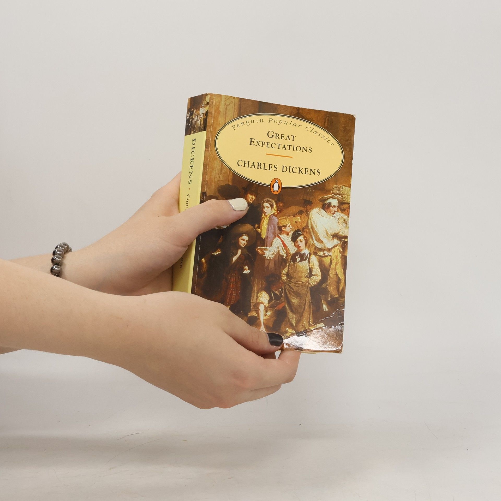 Charles Dickens Great Expectations