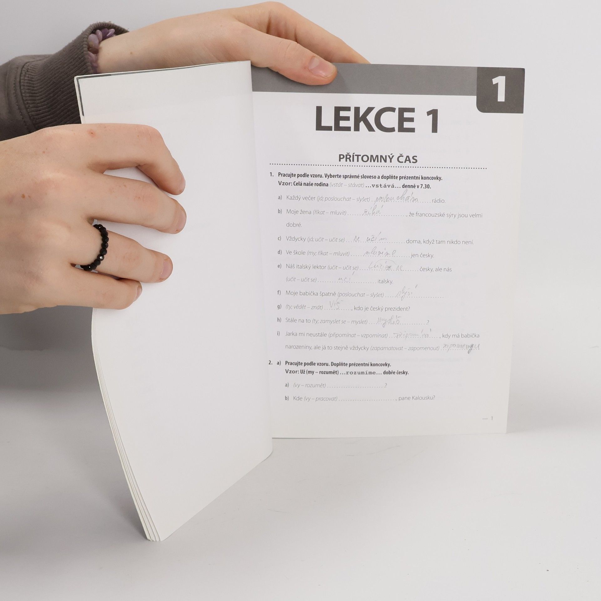 Marie Boccou Kestřánková Čeština pro cizince. Cvičebnice. B1