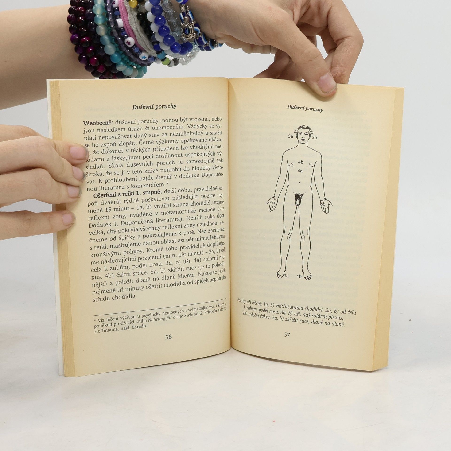 Walter Lübeck Reiki: Domácí lékárna